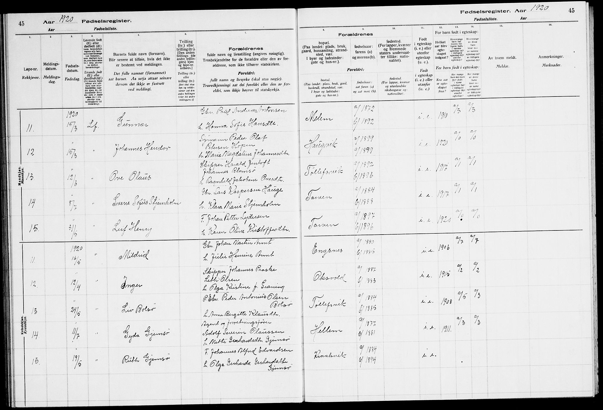 Ministerialprotokoller, klokkerbøker og fødselsregistre - Sør-Trøndelag, SAT/A-1456/651/L0650: Birth register no. 651.II.4.1, 1916-1923, p. 45