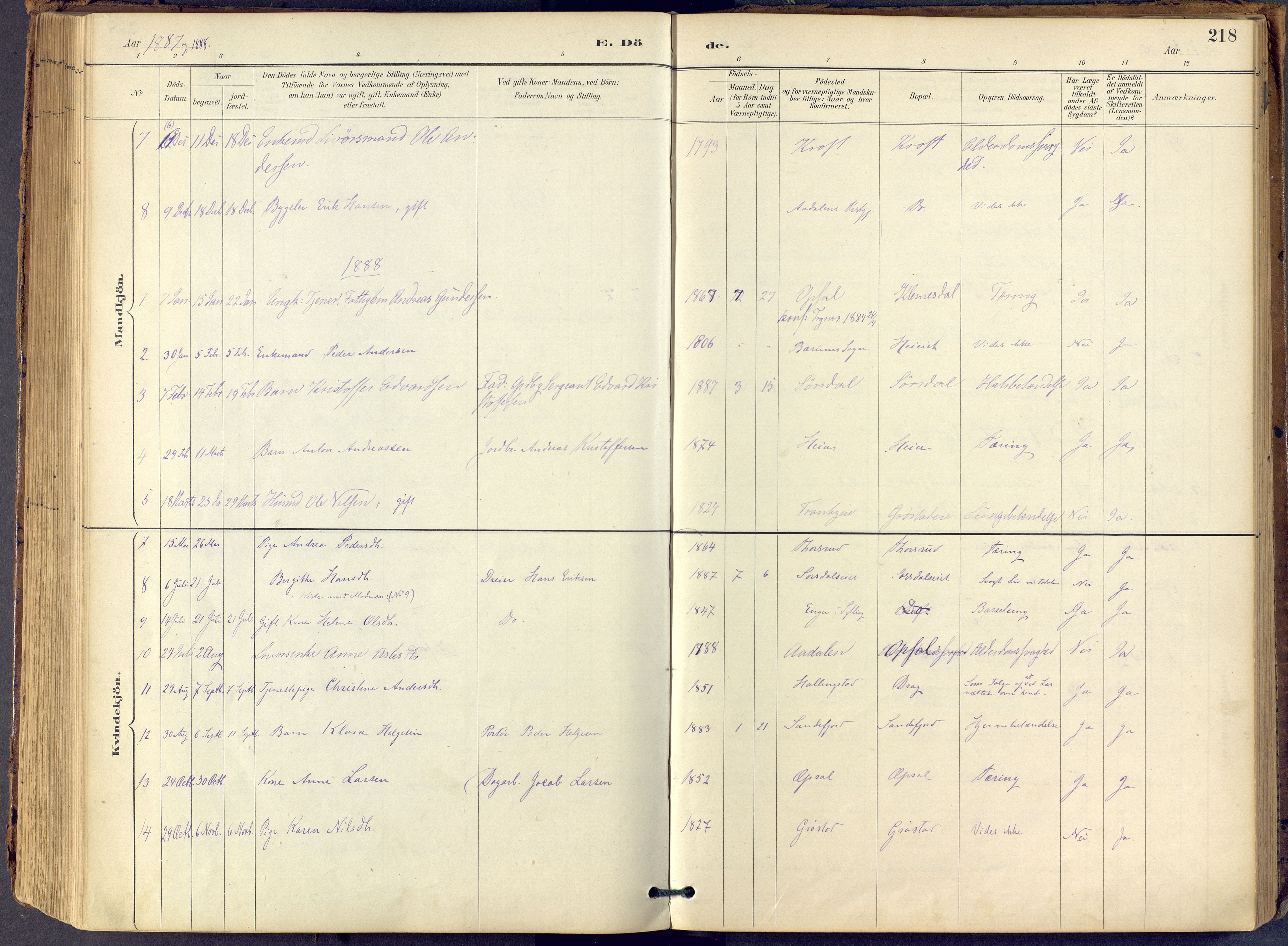 Lier kirkebøker, AV/SAKO-A-230/F/Fb/L0001: Parish register (official) no. II 1, 1883-1910, p. 218