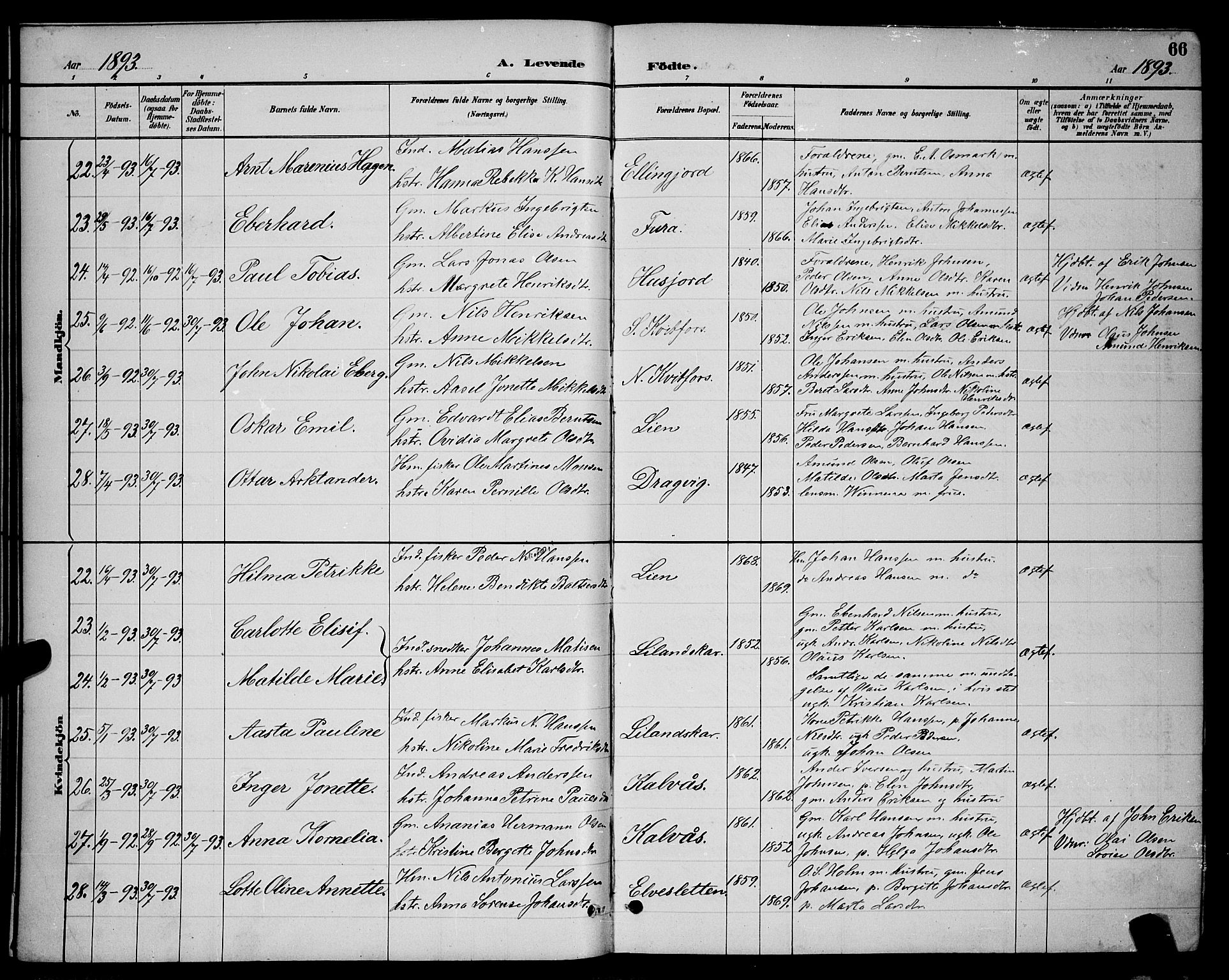 Ministerialprotokoller, klokkerbøker og fødselsregistre - Nordland, AV/SAT-A-1459/863/L0914: Parish register (copy) no. 863C04, 1886-1897, p. 66