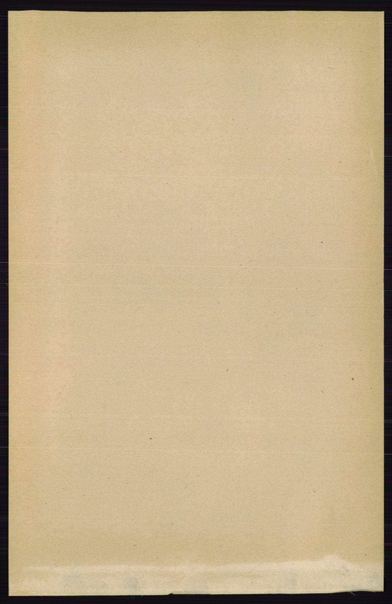 RA, 1891 census for 0128 Rakkestad, 1891, p. 617