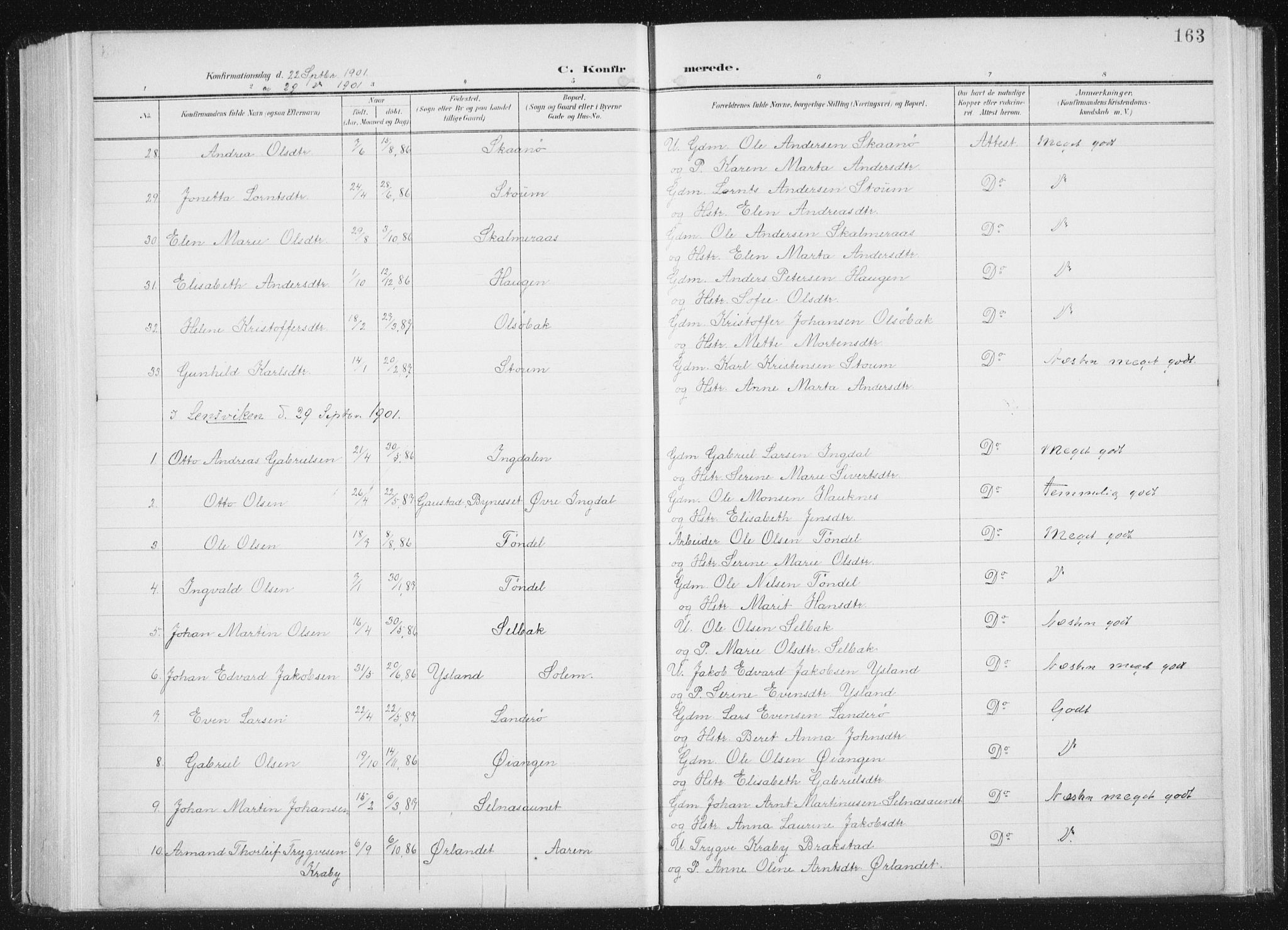 Ministerialprotokoller, klokkerbøker og fødselsregistre - Sør-Trøndelag, AV/SAT-A-1456/647/L0635: Parish register (official) no. 647A02, 1896-1911, p. 163