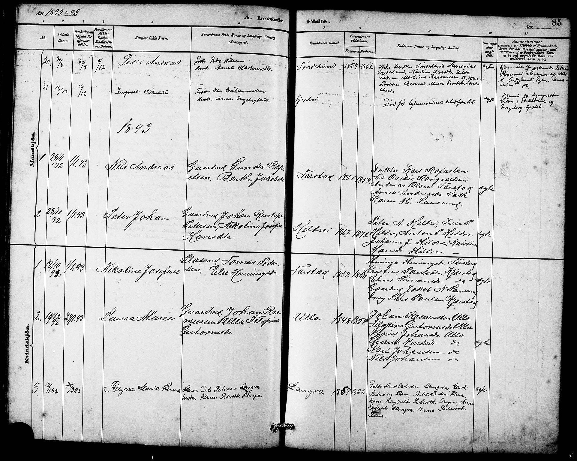 Ministerialprotokoller, klokkerbøker og fødselsregistre - Møre og Romsdal, AV/SAT-A-1454/536/L0510: Parish register (copy) no. 536C05, 1881-1898, p. 85