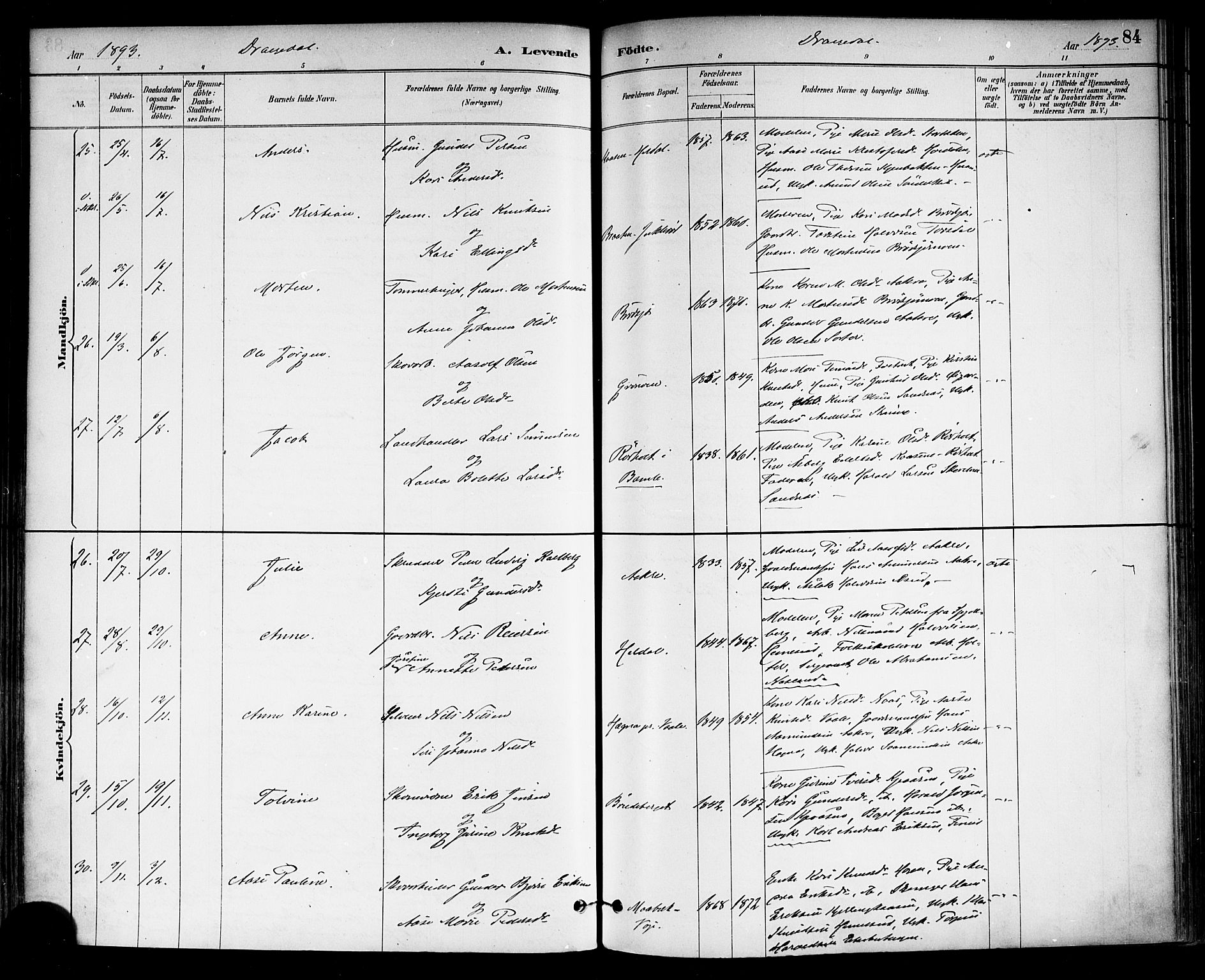 Drangedal kirkebøker, AV/SAKO-A-258/F/Fa/L0010: Parish register (official) no. 10 /1, 1885-1894, p. 84