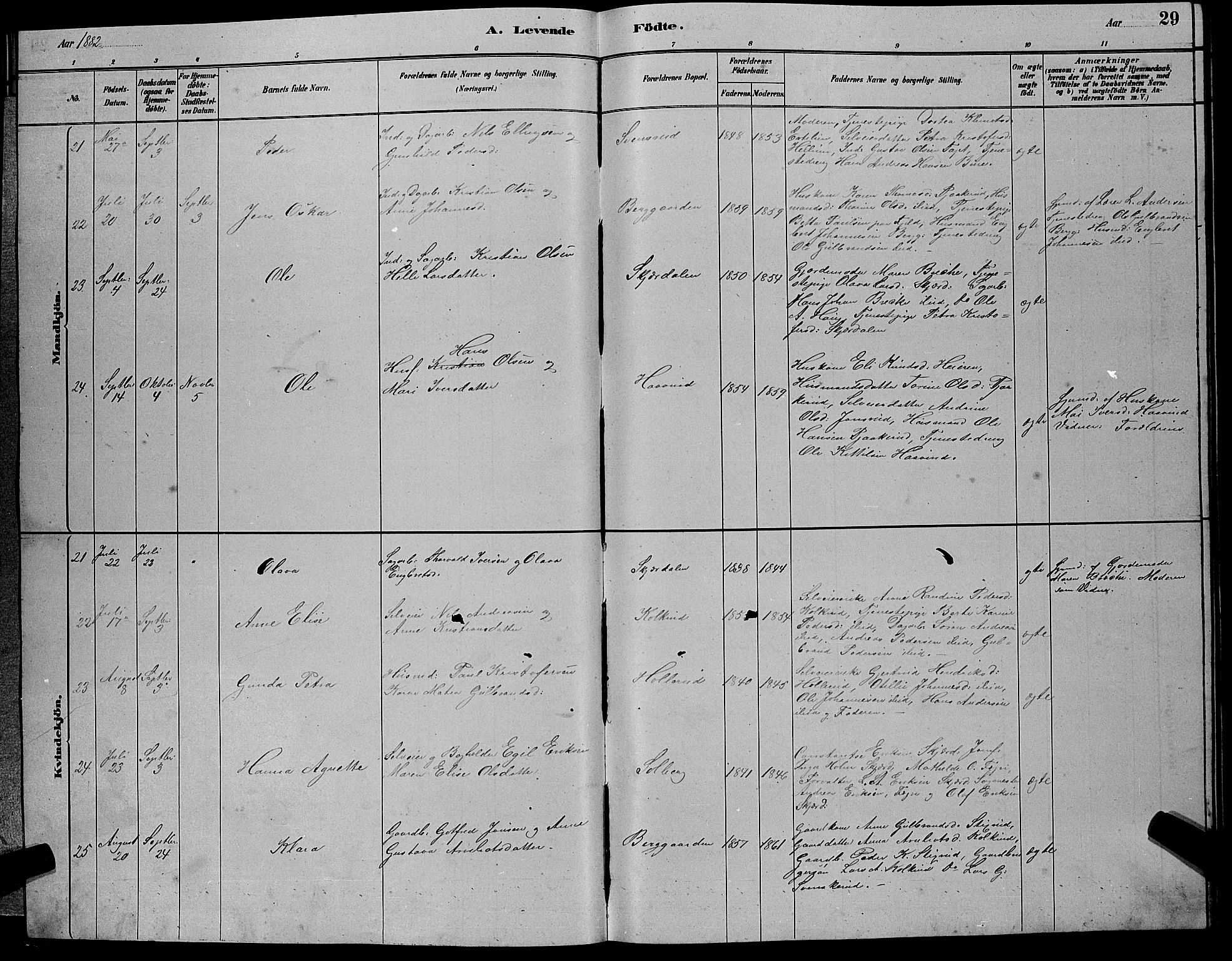 Hole kirkebøker, AV/SAKO-A-228/G/Gb/L0002: Parish register (copy) no. II 2, 1878-1889, p. 29