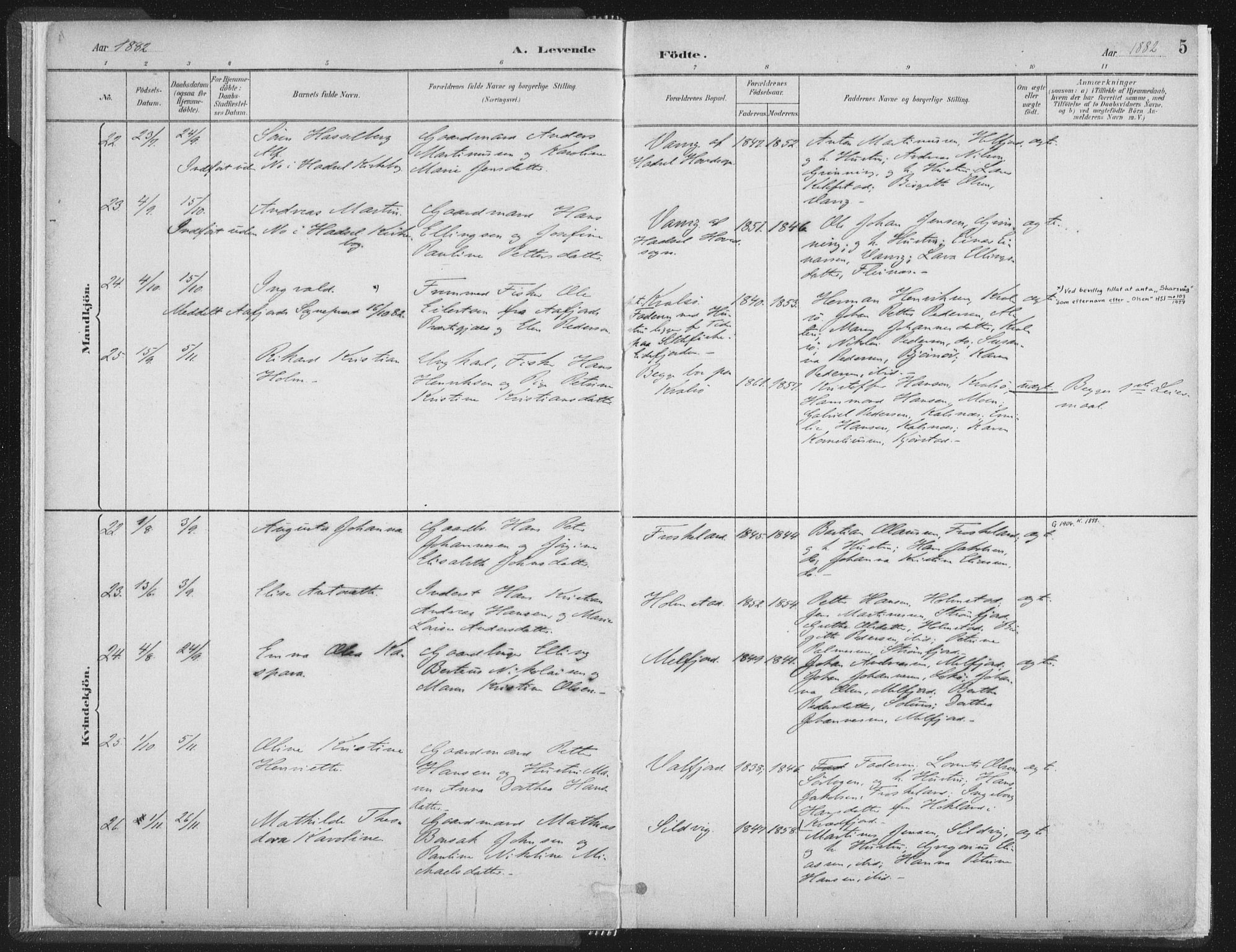 Ministerialprotokoller, klokkerbøker og fødselsregistre - Nordland, AV/SAT-A-1459/890/L1286: Parish register (official) no. 890A01, 1882-1902, p. 5