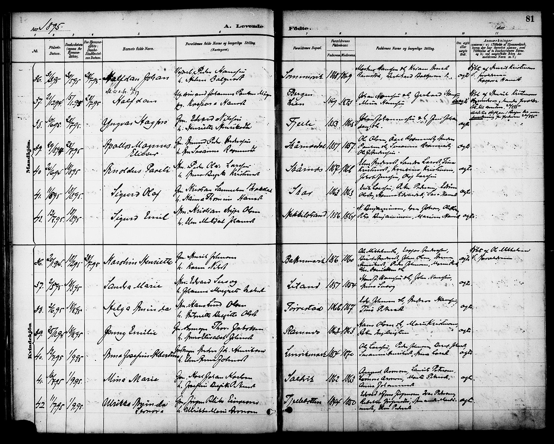 Ministerialprotokoller, klokkerbøker og fødselsregistre - Nordland, AV/SAT-A-1459/863/L0898: Parish register (official) no. 863A10, 1886-1897, p. 81