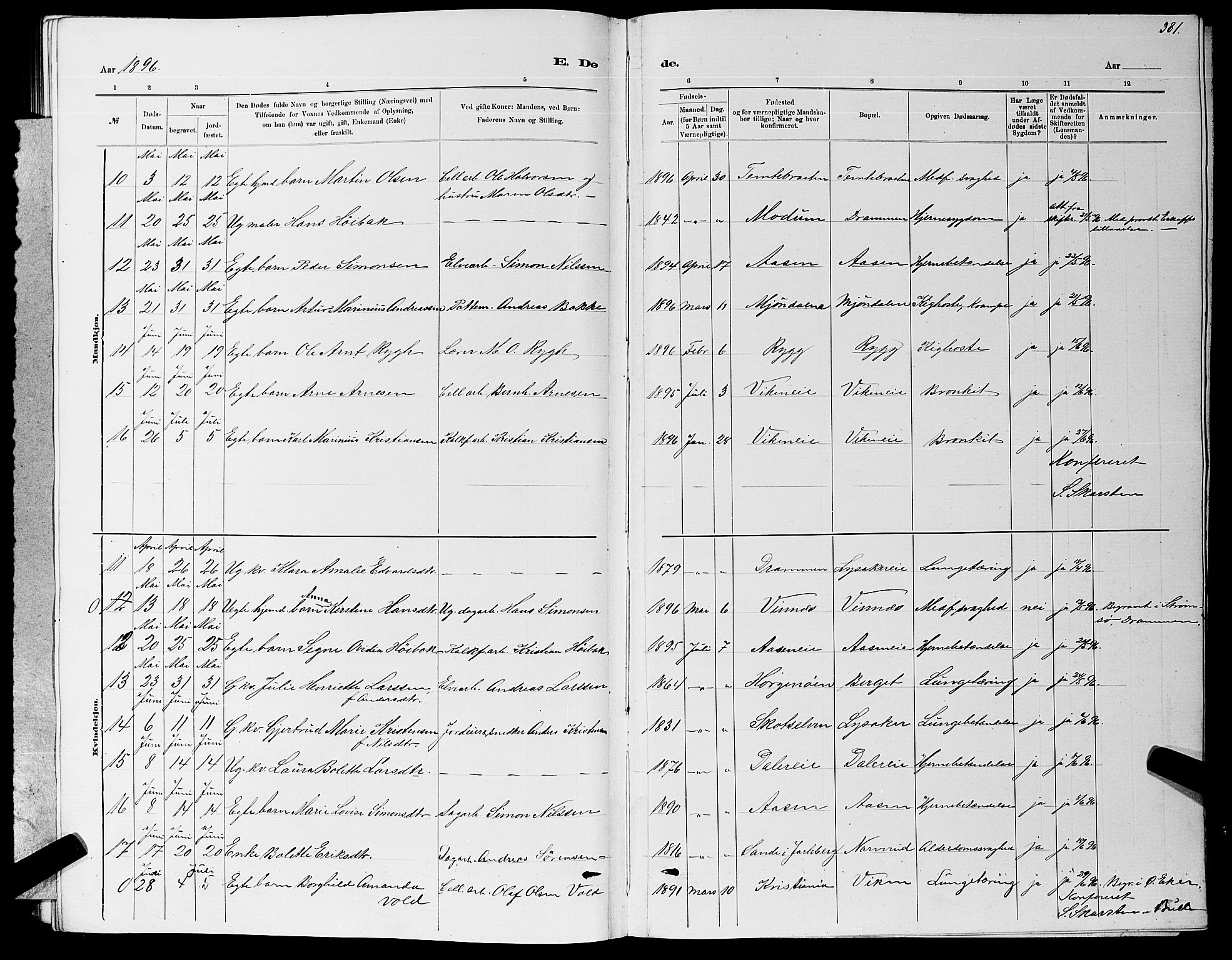 Nedre Eiker kirkebøker, AV/SAKO-A-612/G/Ga/L0002: Parish register (copy) no. 2, 1880-1896, p. 381