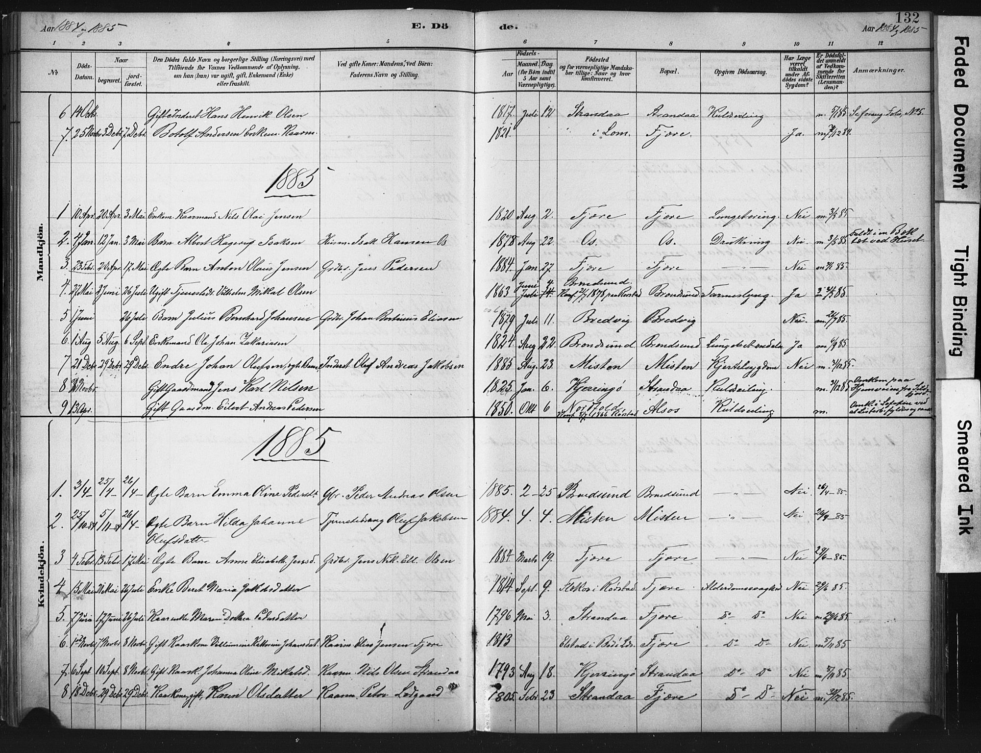 Ministerialprotokoller, klokkerbøker og fødselsregistre - Nordland, SAT/A-1459/803/L0071: Parish register (official) no. 803A01, 1881-1897, p. 132