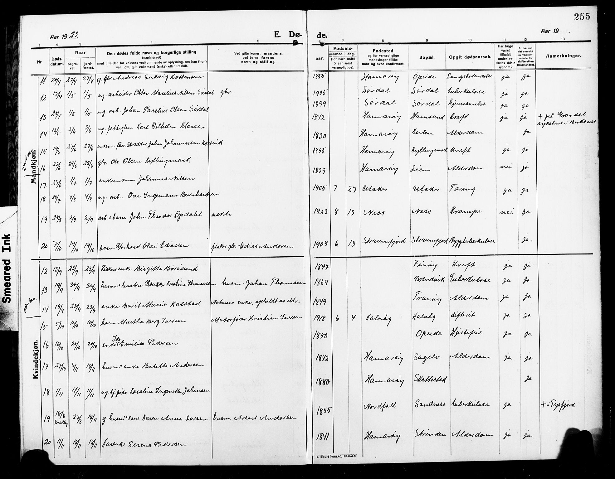 Ministerialprotokoller, klokkerbøker og fødselsregistre - Nordland, AV/SAT-A-1459/859/L0861: Parish register (copy) no. 859C07, 1910-1925, p. 255