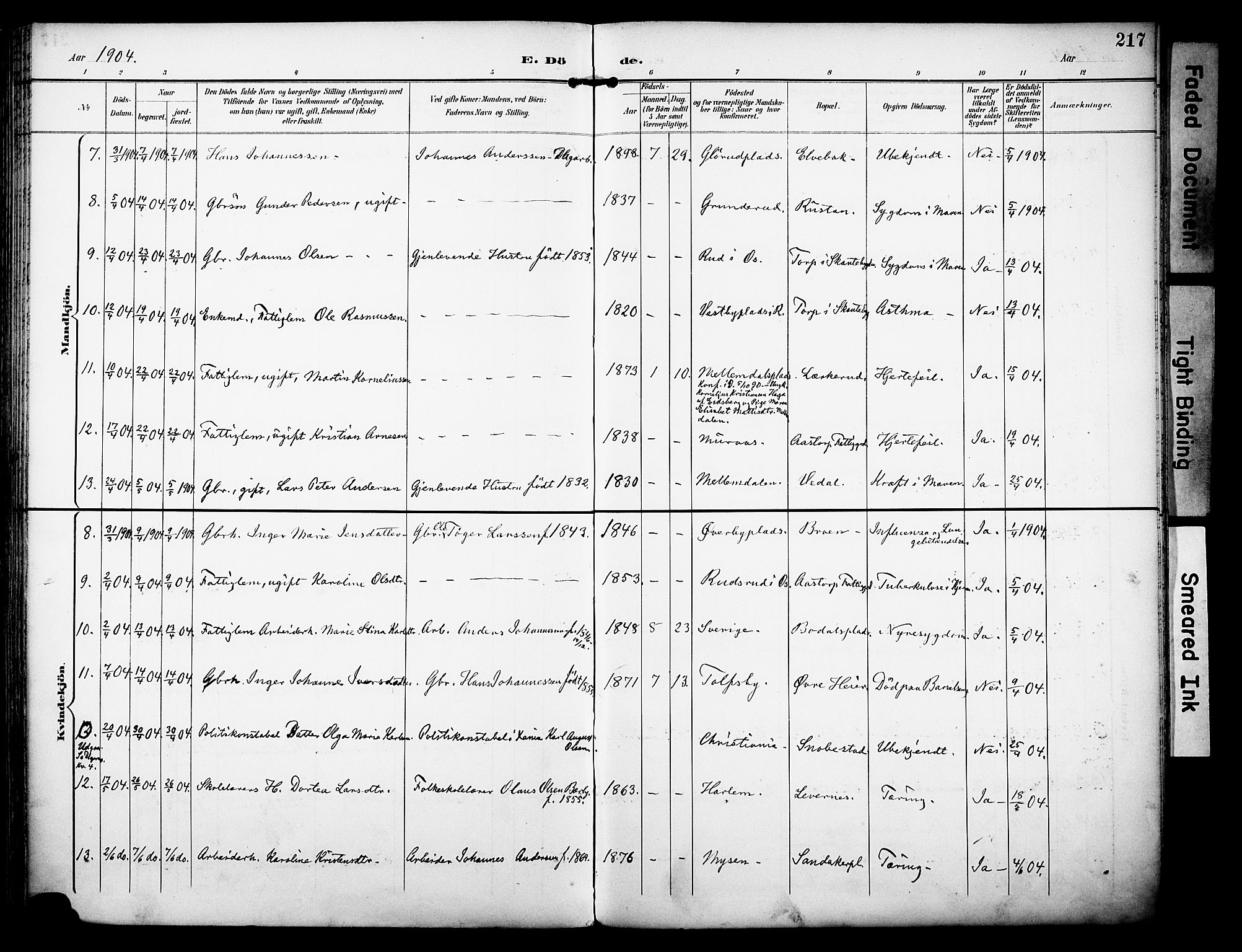 Rakkestad prestekontor Kirkebøker, AV/SAO-A-2008/F/Fa/L0013: Parish register (official) no. I 13, 1894-1908, p. 217