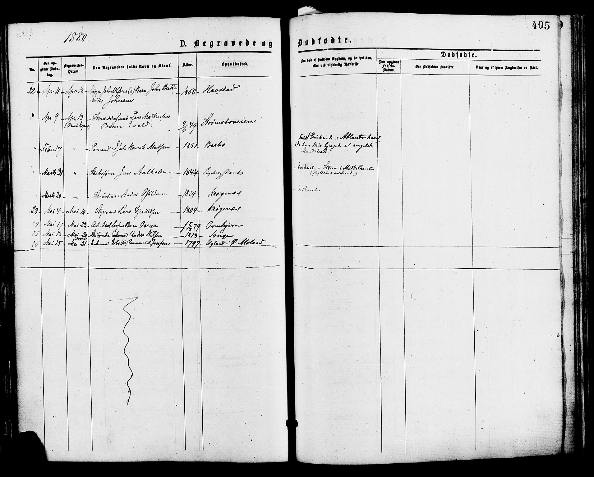 Barbu sokneprestkontor, AV/SAK-1111-0003/F/Fa/L0001: Parish register (official) no. A 1 /1, 1878-1883, p. 405