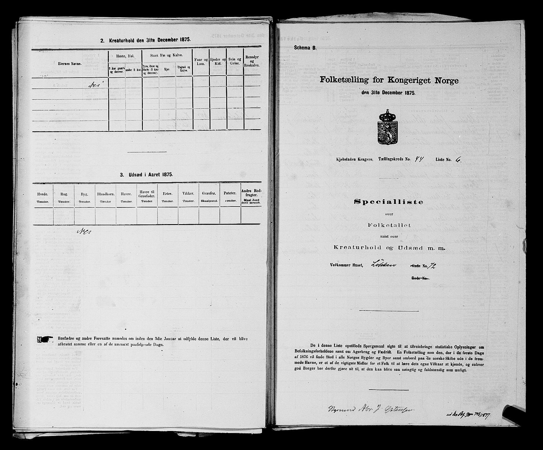 SAKO, 1875 census for 0801P Kragerø, 1875, p. 974