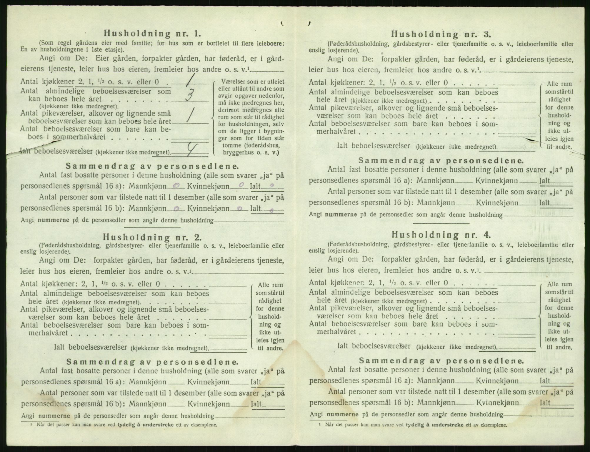 SAK, 1920 census for Holt, 1920, p. 1029