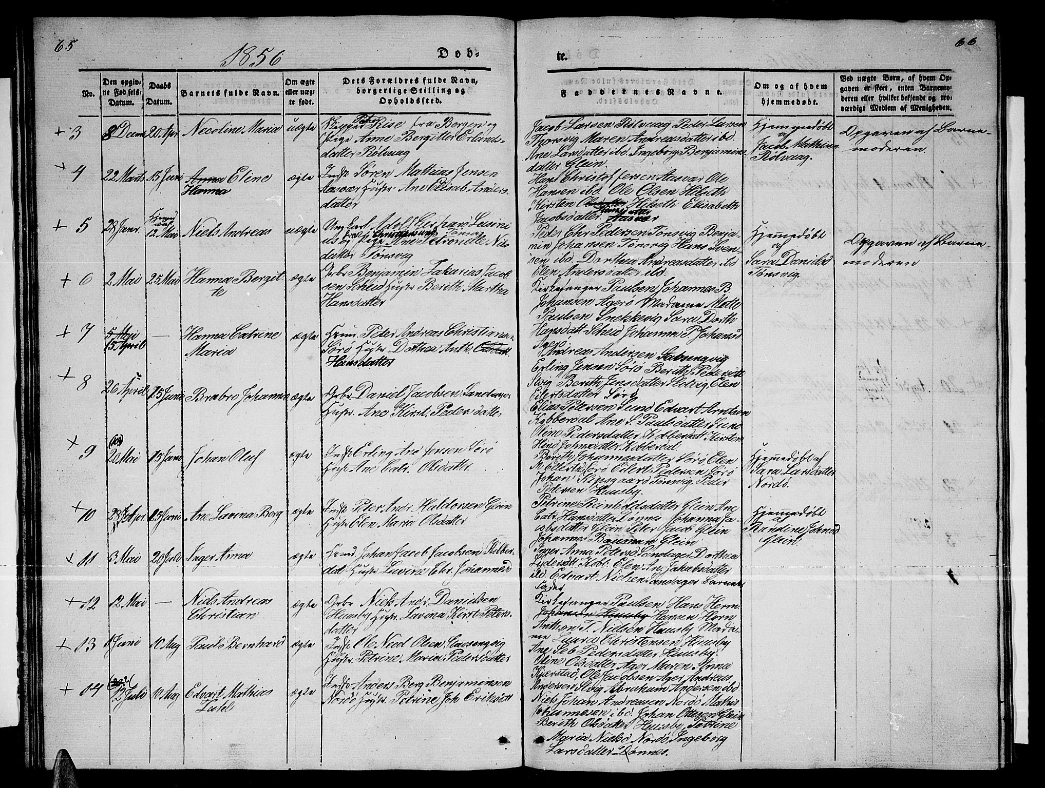 Ministerialprotokoller, klokkerbøker og fødselsregistre - Nordland, AV/SAT-A-1459/835/L0530: Parish register (copy) no. 835C02, 1842-1865, p. 65-66