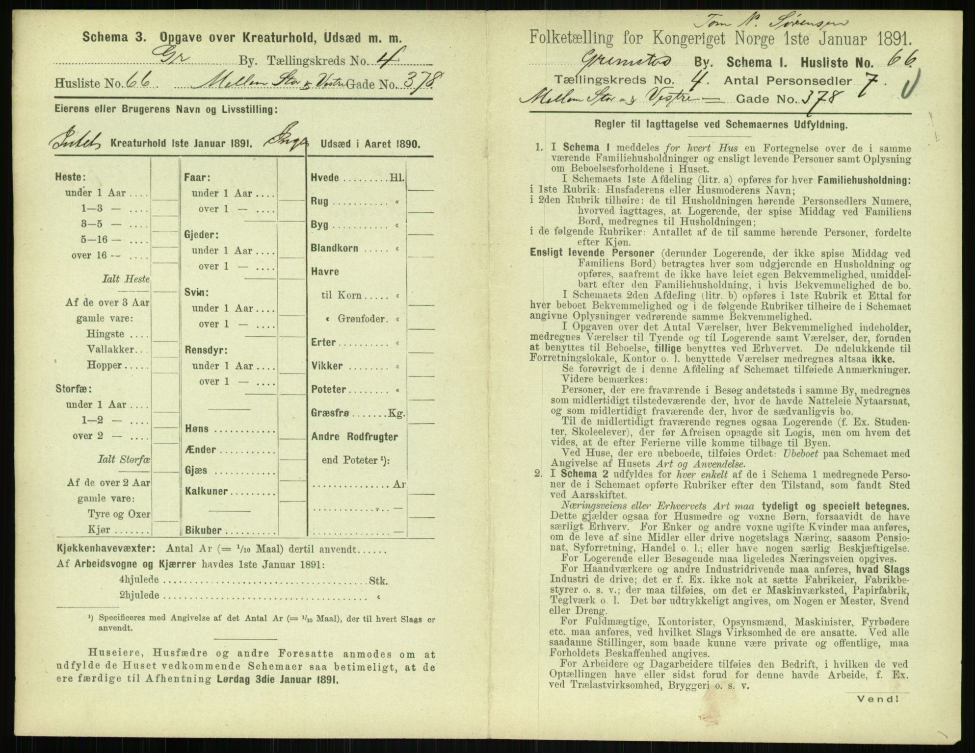 RA, 1891 census for 0904 Grimstad, 1891, p. 564