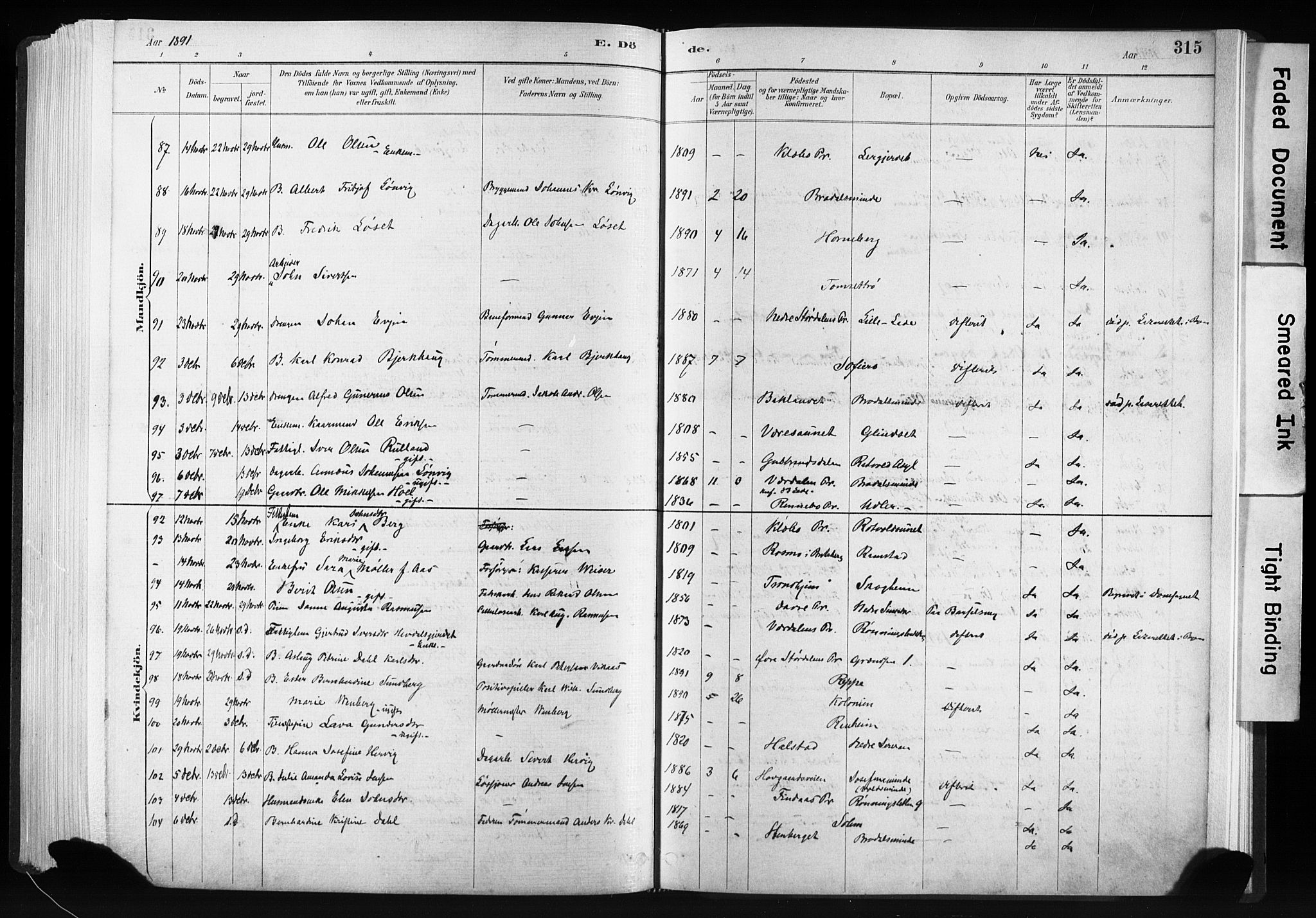 Ministerialprotokoller, klokkerbøker og fødselsregistre - Sør-Trøndelag, SAT/A-1456/606/L0300: Parish register (official) no. 606A15, 1886-1893, p. 315