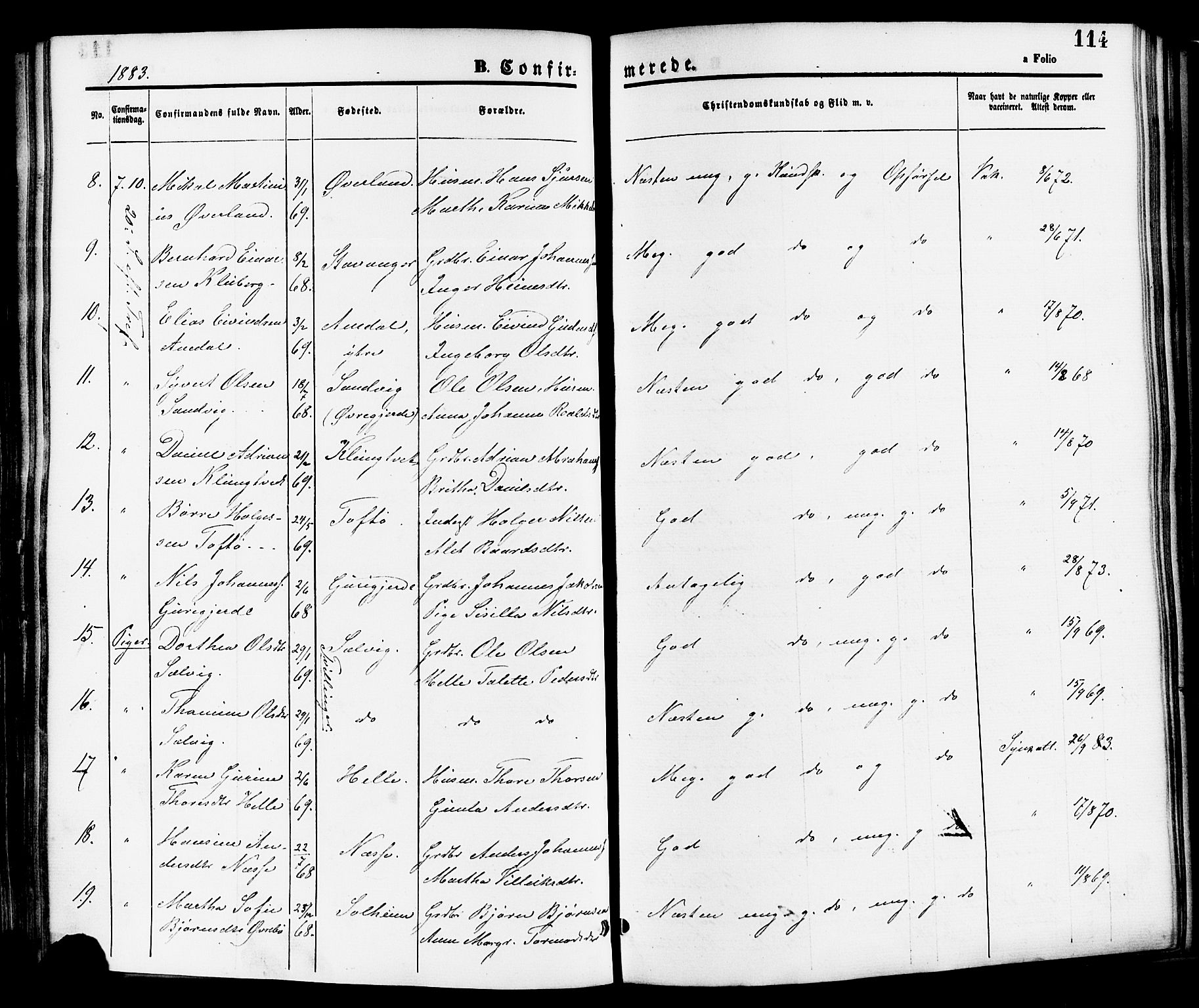 Nedstrand sokneprestkontor, SAST/A-101841/01/IV: Parish register (official) no. A 11, 1877-1887, p. 114