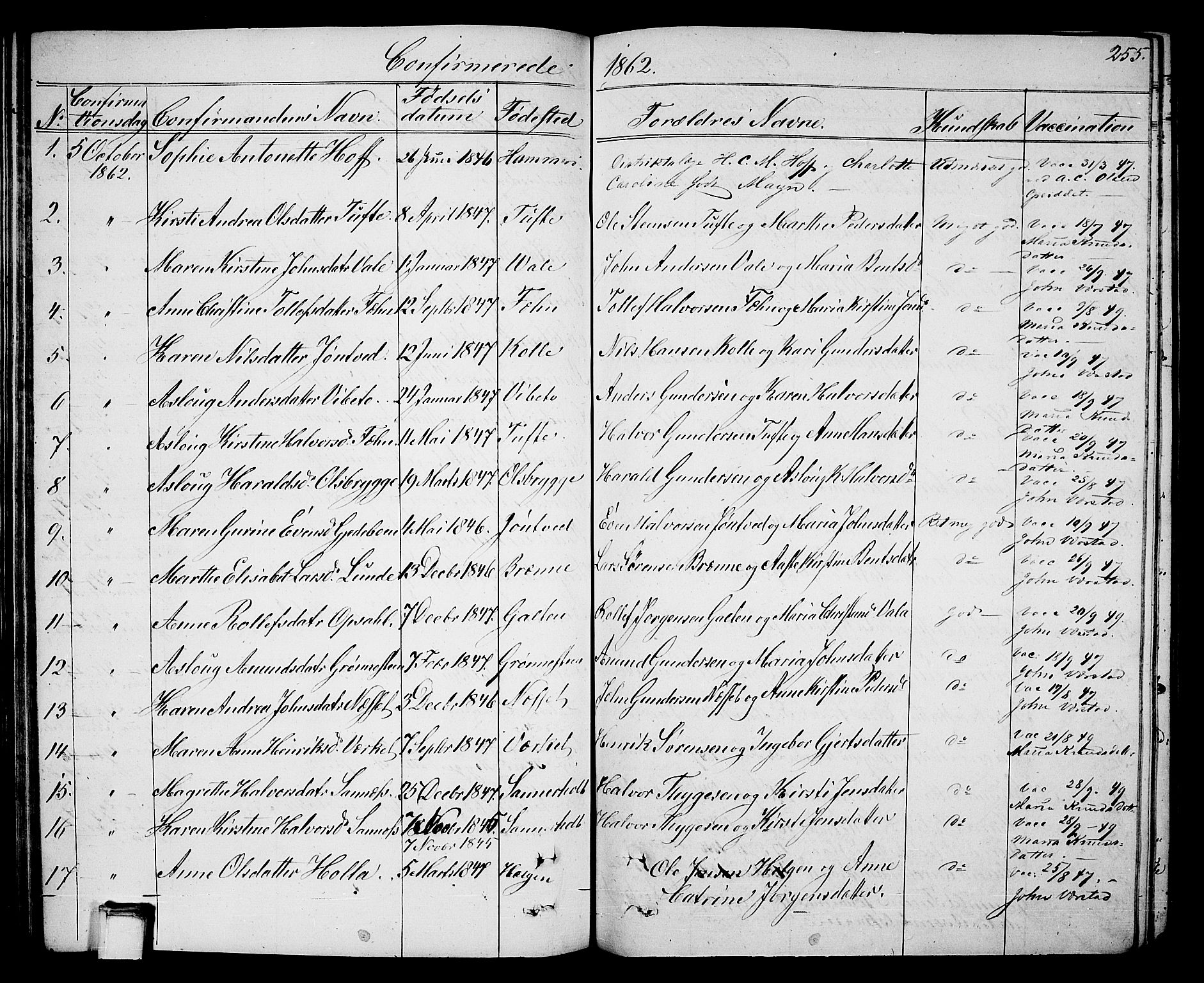 Holla kirkebøker, AV/SAKO-A-272/G/Ga/L0003: Parish register (copy) no. I 3, 1849-1866, p. 255