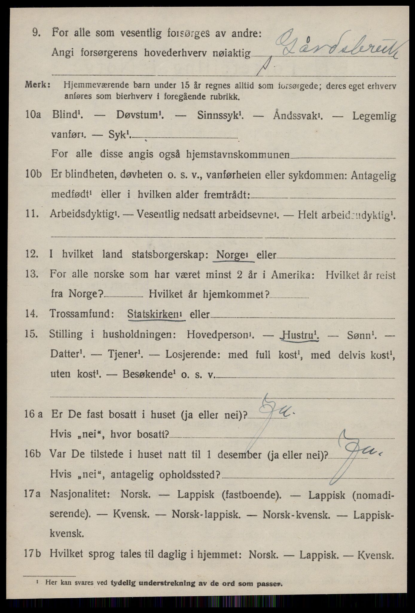 SAT, 1920 census for Selbu, 1920, p. 7451