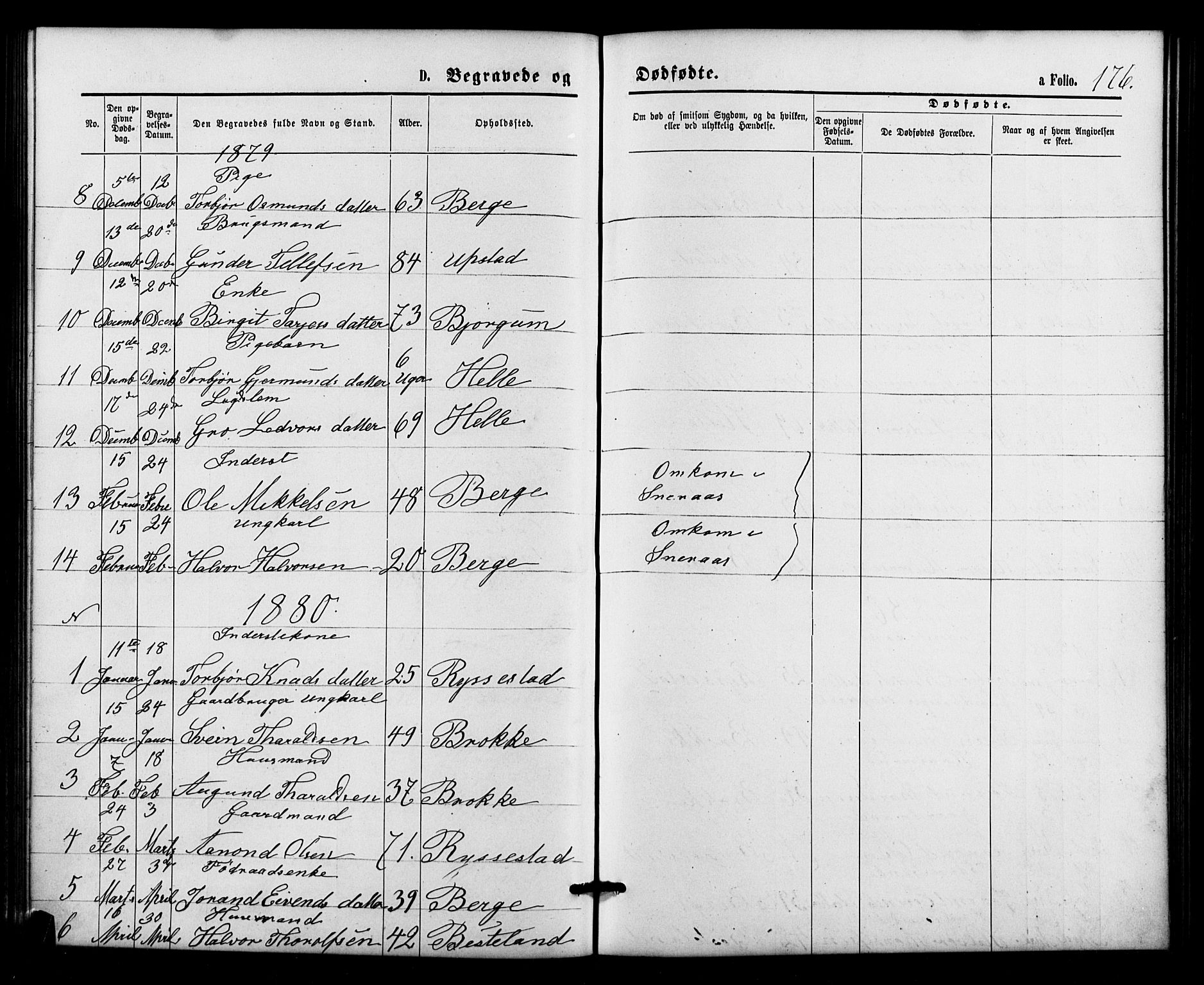 Valle sokneprestkontor, SAK/1111-0044/F/Fb/Fbb/L0002: Parish register (copy) no. B 2, 1875-1921, p. 176