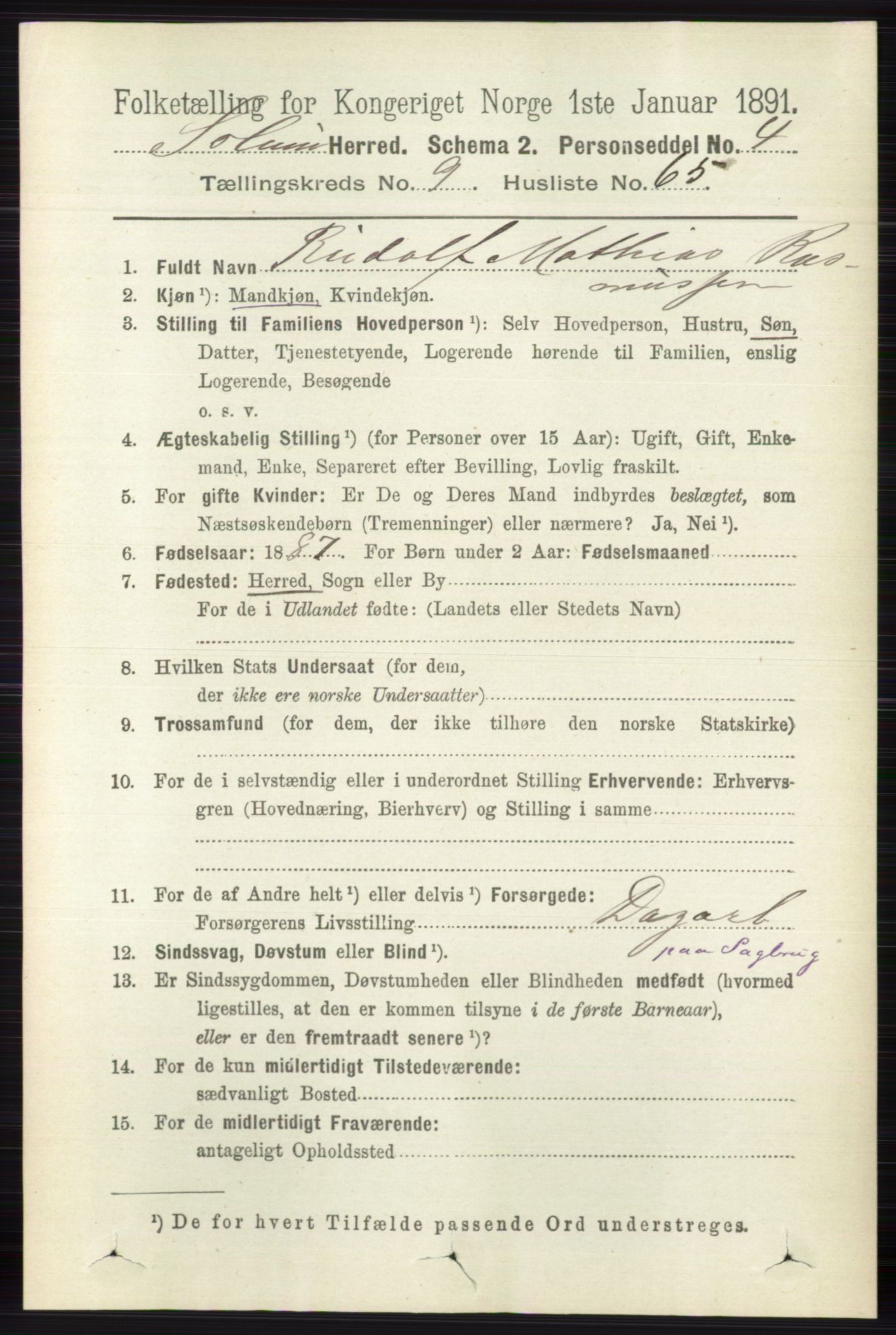 RA, 1891 census for 0818 Solum, 1891, p. 2416