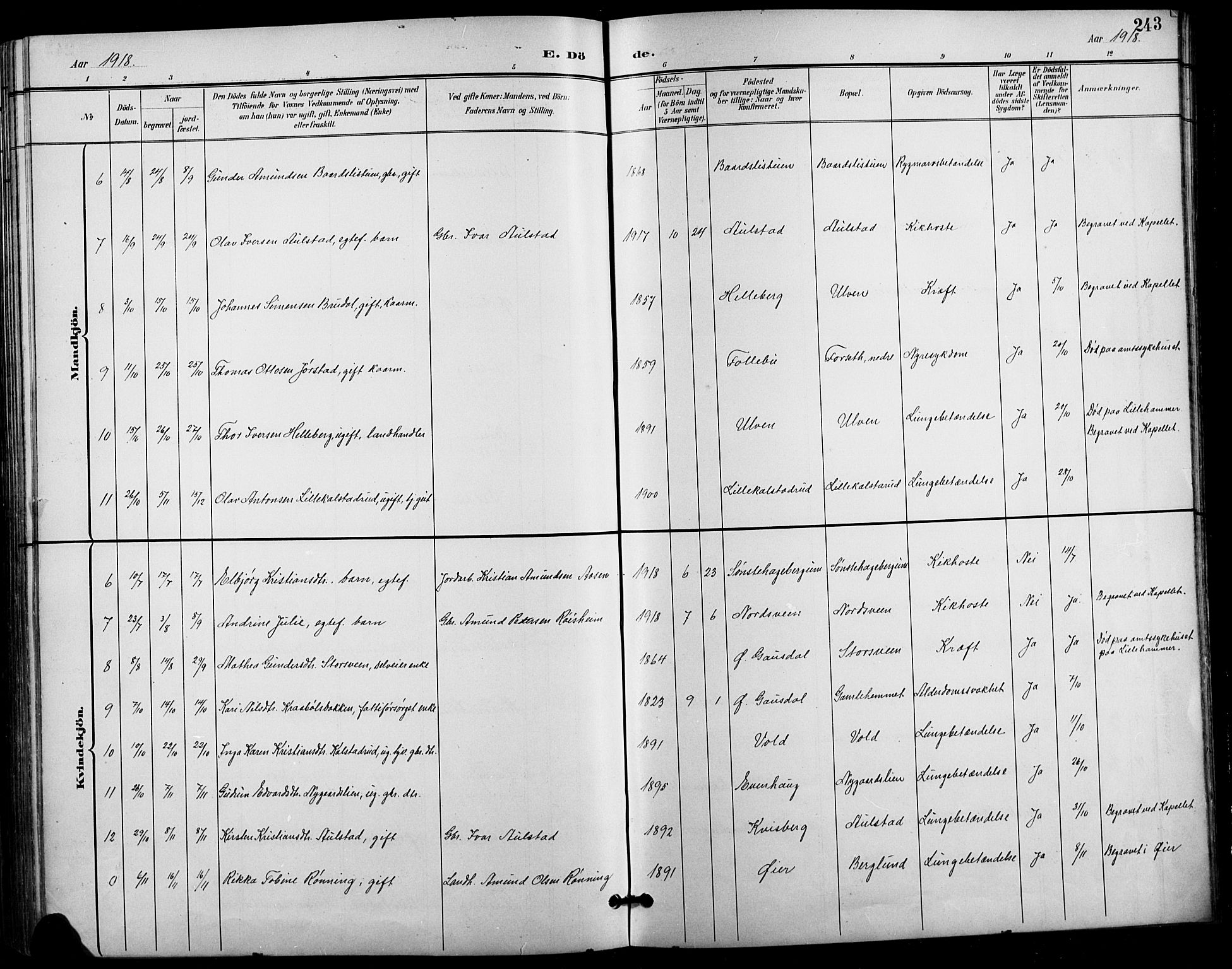 Vestre Gausdal prestekontor, SAH/PREST-094/H/Ha/Hab/L0003: Parish register (copy) no. 3, 1896-1925, p. 243