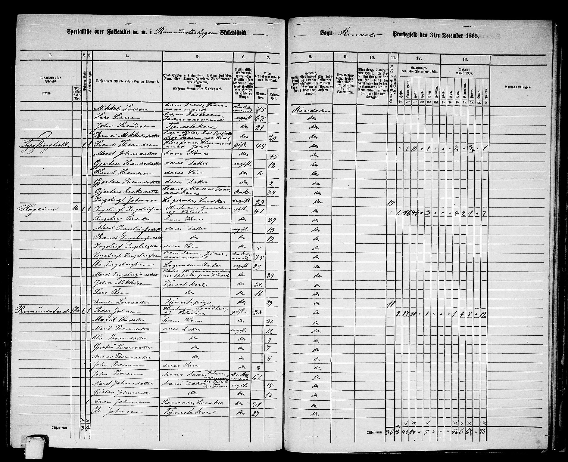 RA, 1865 census for Rindal, 1865, p. 76