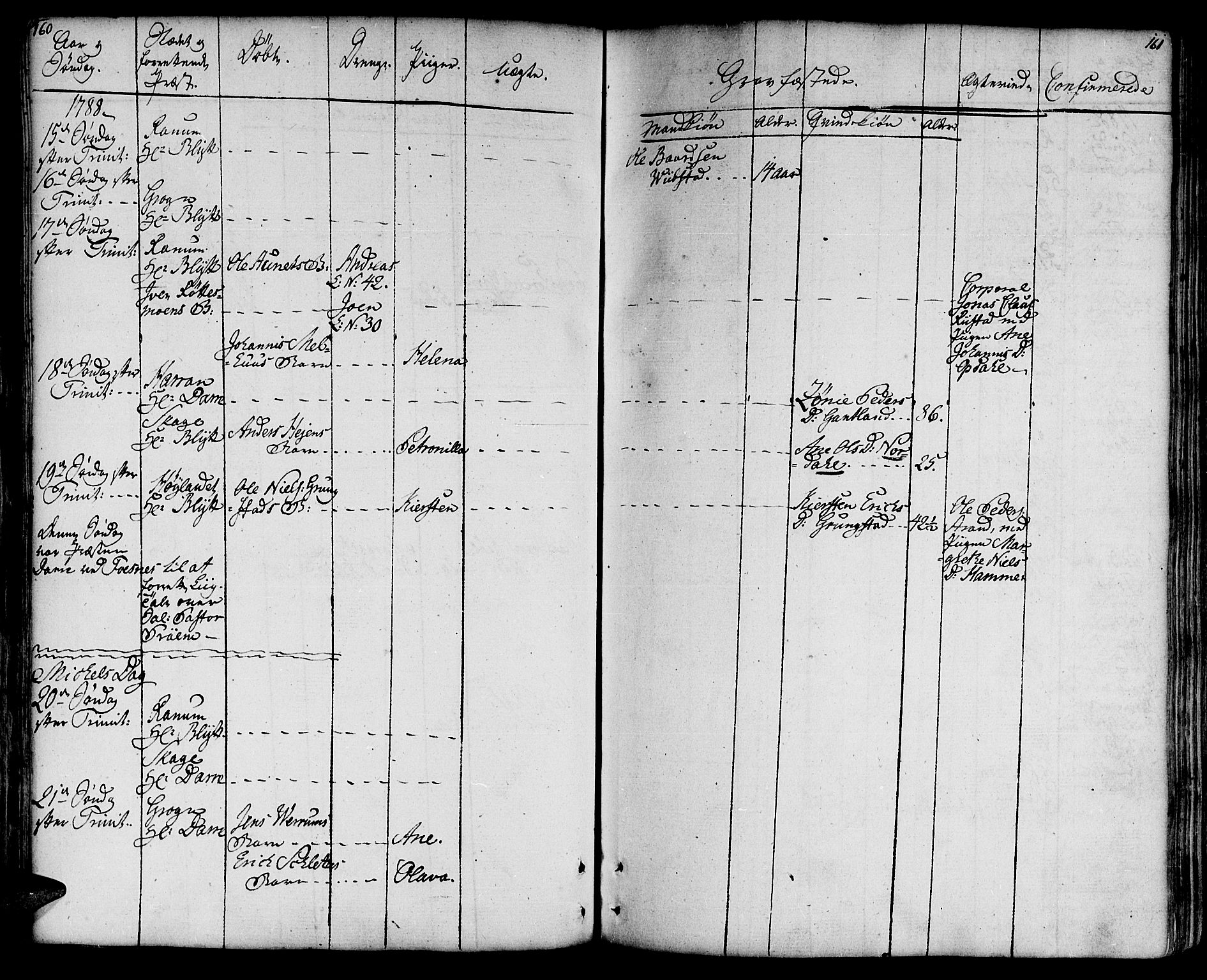 Ministerialprotokoller, klokkerbøker og fødselsregistre - Nord-Trøndelag, AV/SAT-A-1458/764/L0544: Parish register (official) no. 764A04, 1780-1798, p. 160-161