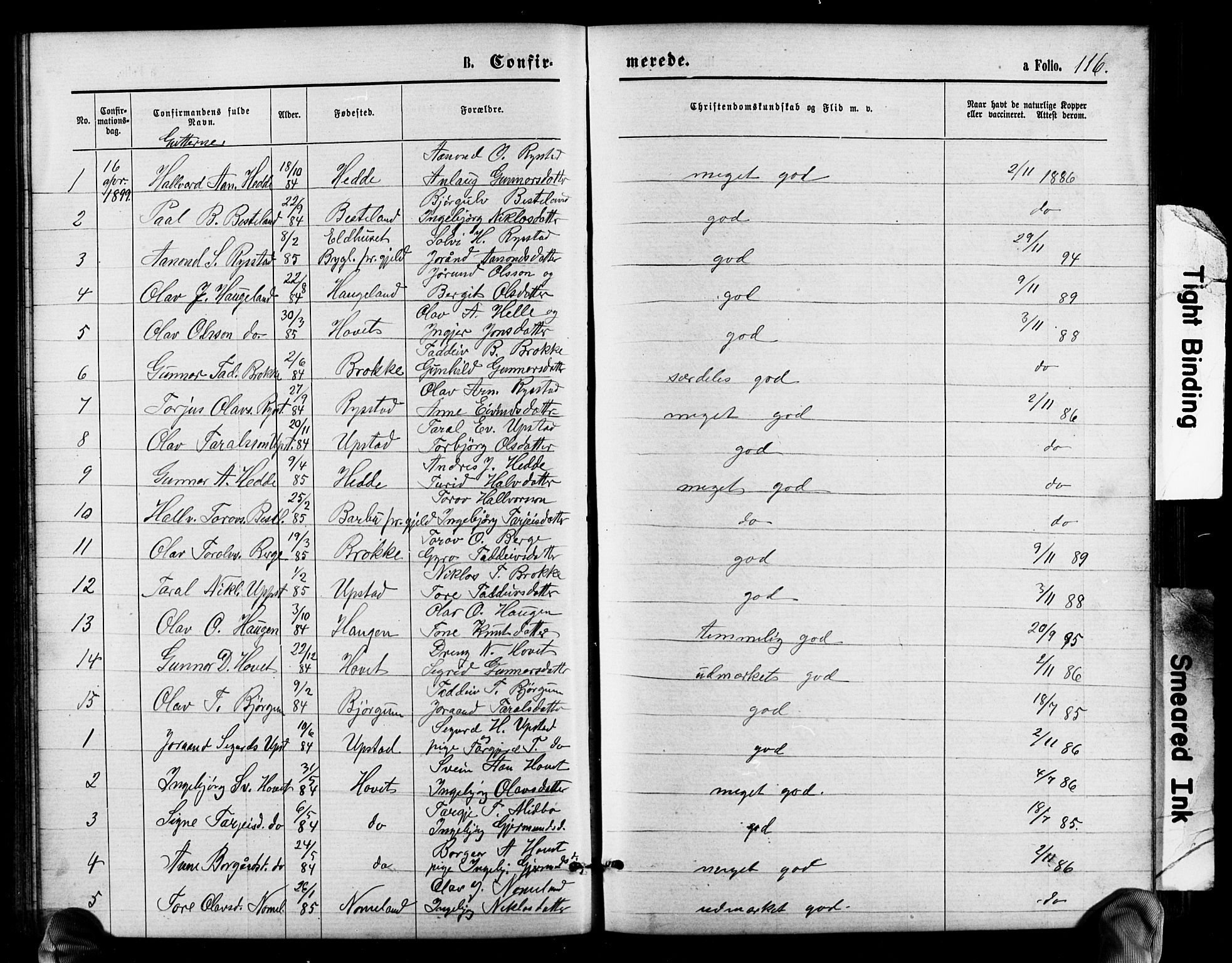 Valle sokneprestkontor, AV/SAK-1111-0044/F/Fb/Fbb/L0002: Parish register (copy) no. B 2, 1875-1921, p. 116