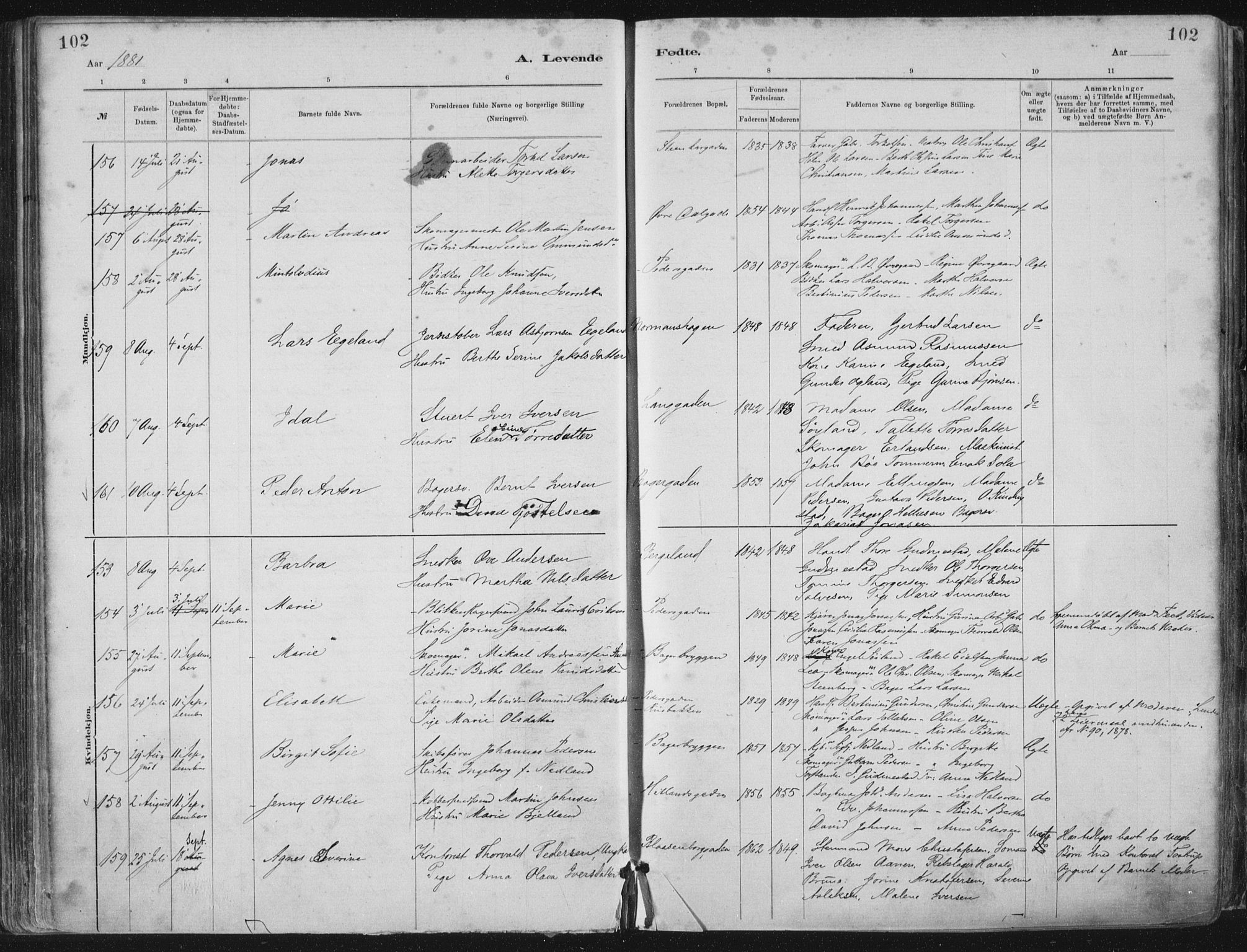 St. Petri sokneprestkontor, AV/SAST-A-101813/001/30/30BA/L0015: Parish register (official) no. A 15, 1879-1888, p. 102