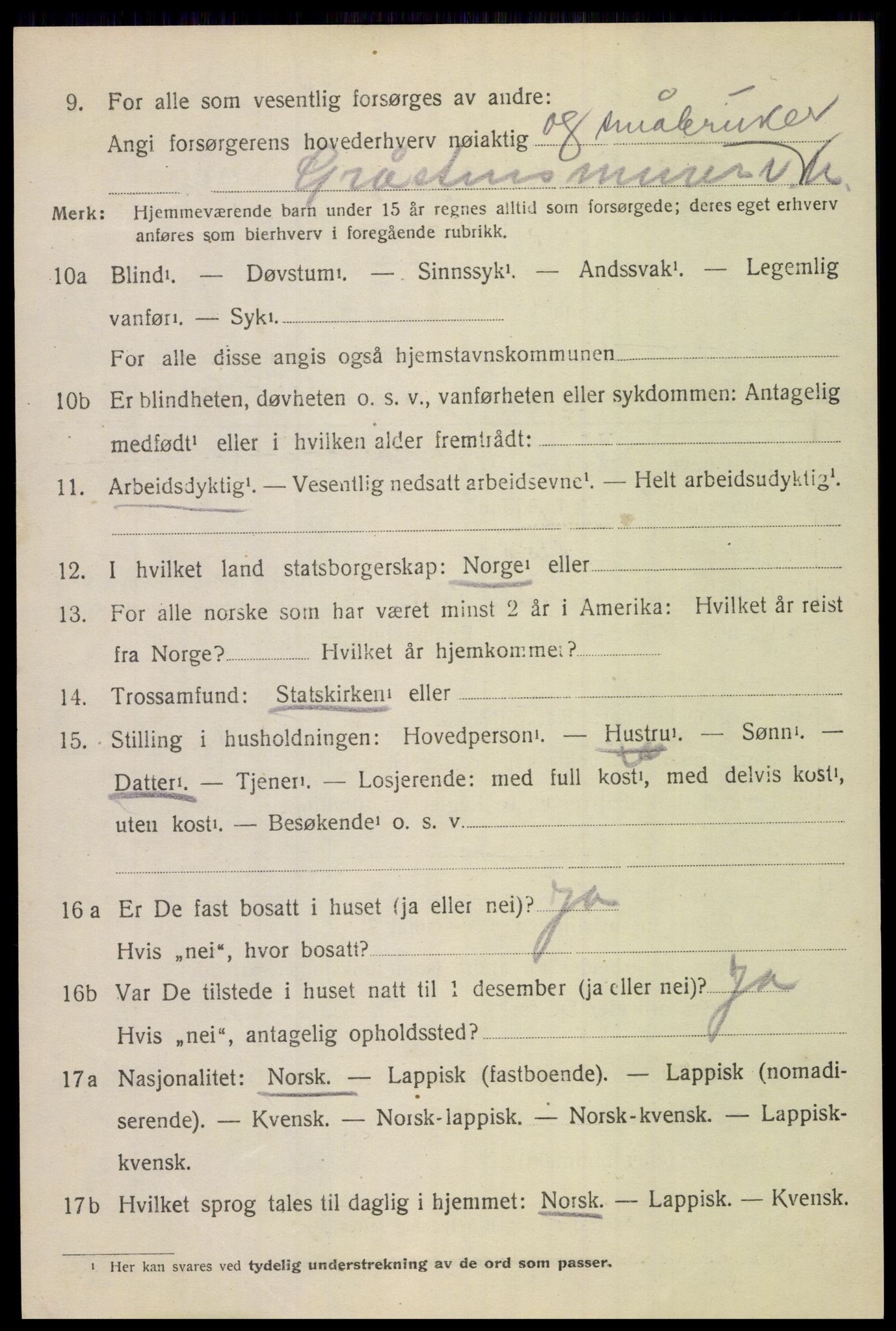 SAT, 1920 census for Bodin, 1920, p. 12273