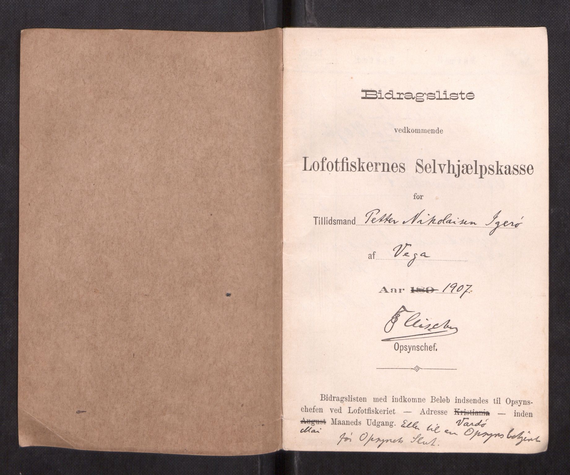 Oppsynssjefen ved Lofotfisket, AV/SAT-A-6224/D/L0173: Lofotfiskernes Selvhjelpskasse, 1885-1912, p. 675