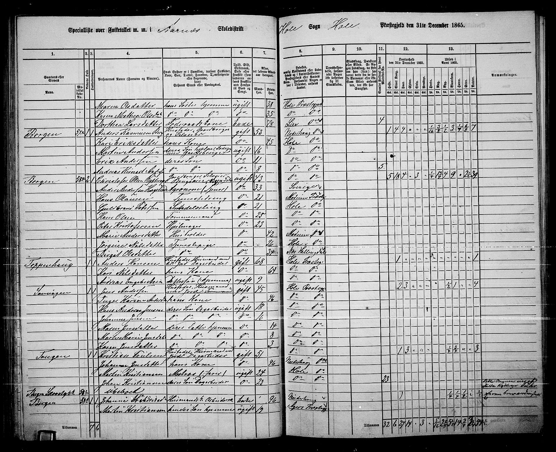 RA, 1865 census for Hole, 1865, p. 51