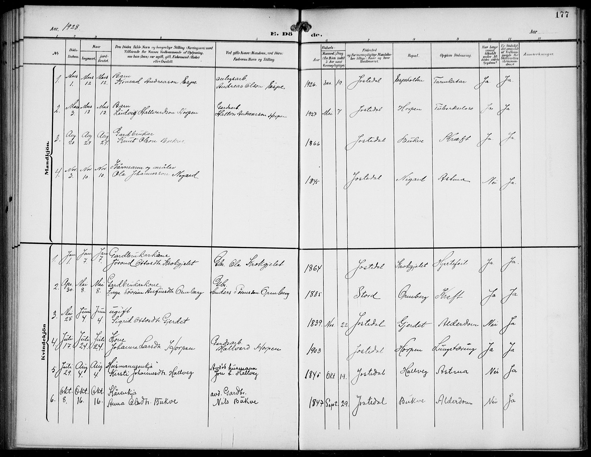 Jostedal sokneprestembete, AV/SAB-A-80601/H/Hab/Haba/L0002: Parish register (copy) no. A 2, 1907-1931, p. 177