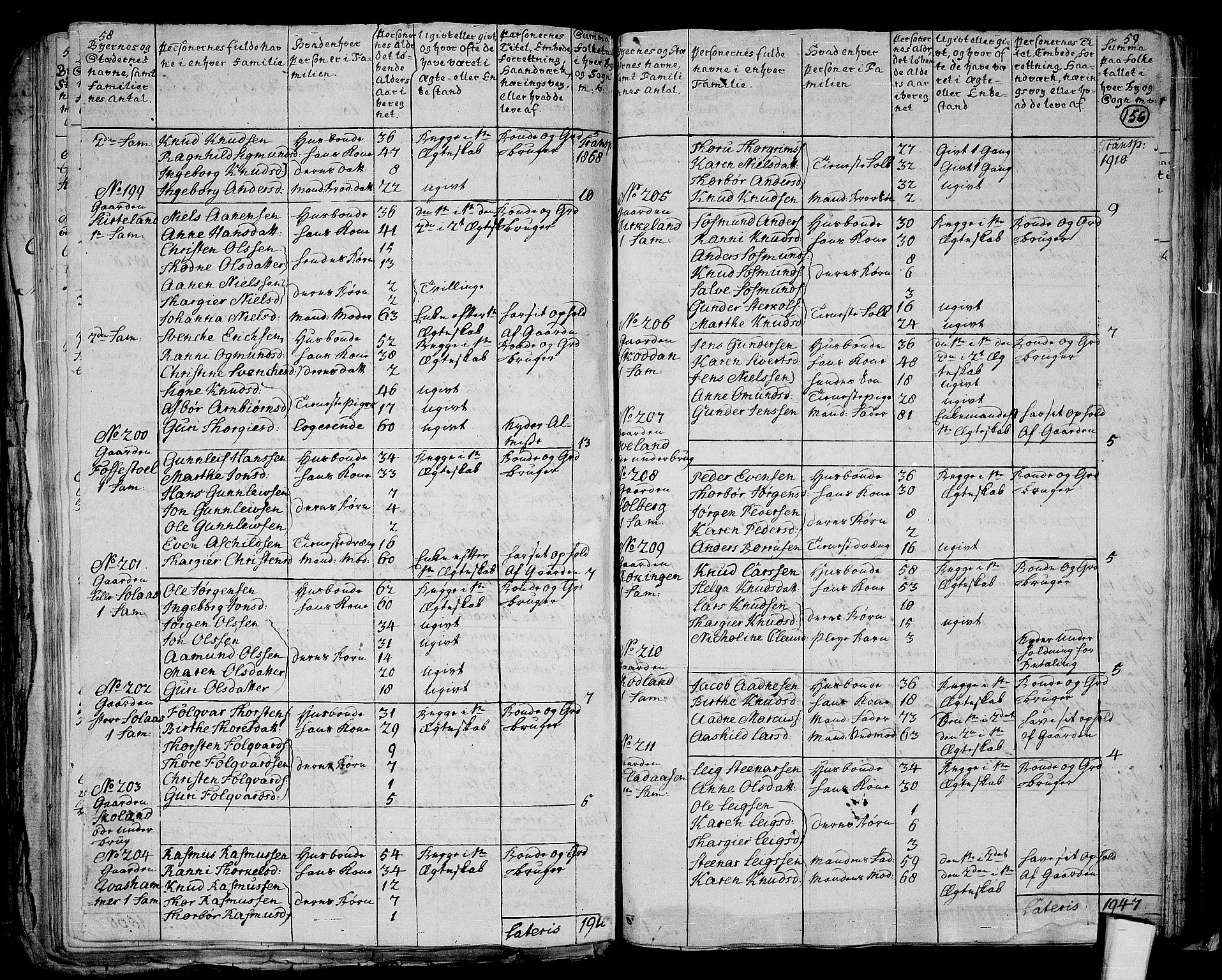 RA, 1801 census for 1020P Holum, 1801, p. 155b-156a