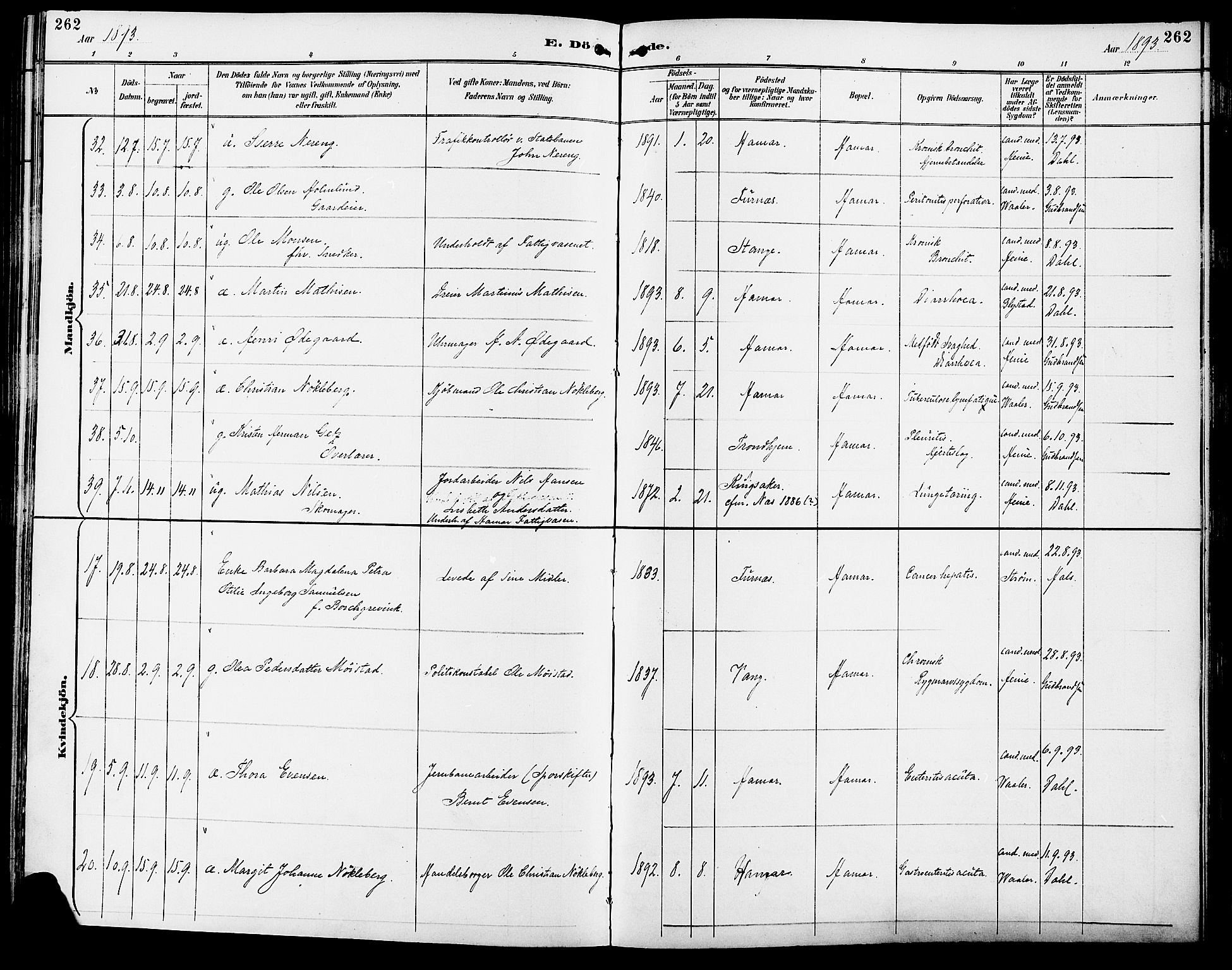 Vang prestekontor, Hedmark, SAH/PREST-008/H/Ha/Haa/L0017: Parish register (official) no. 17, 1890-1899, p. 262
