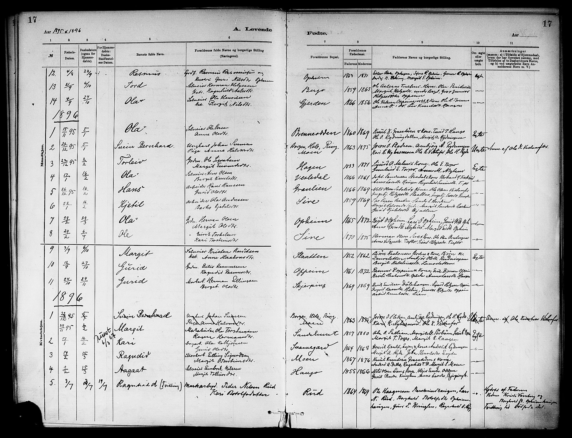 Ål kirkebøker, SAKO/A-249/F/Fb/L0001: Parish register (official) no. II 1, 1882-1899, p. 17