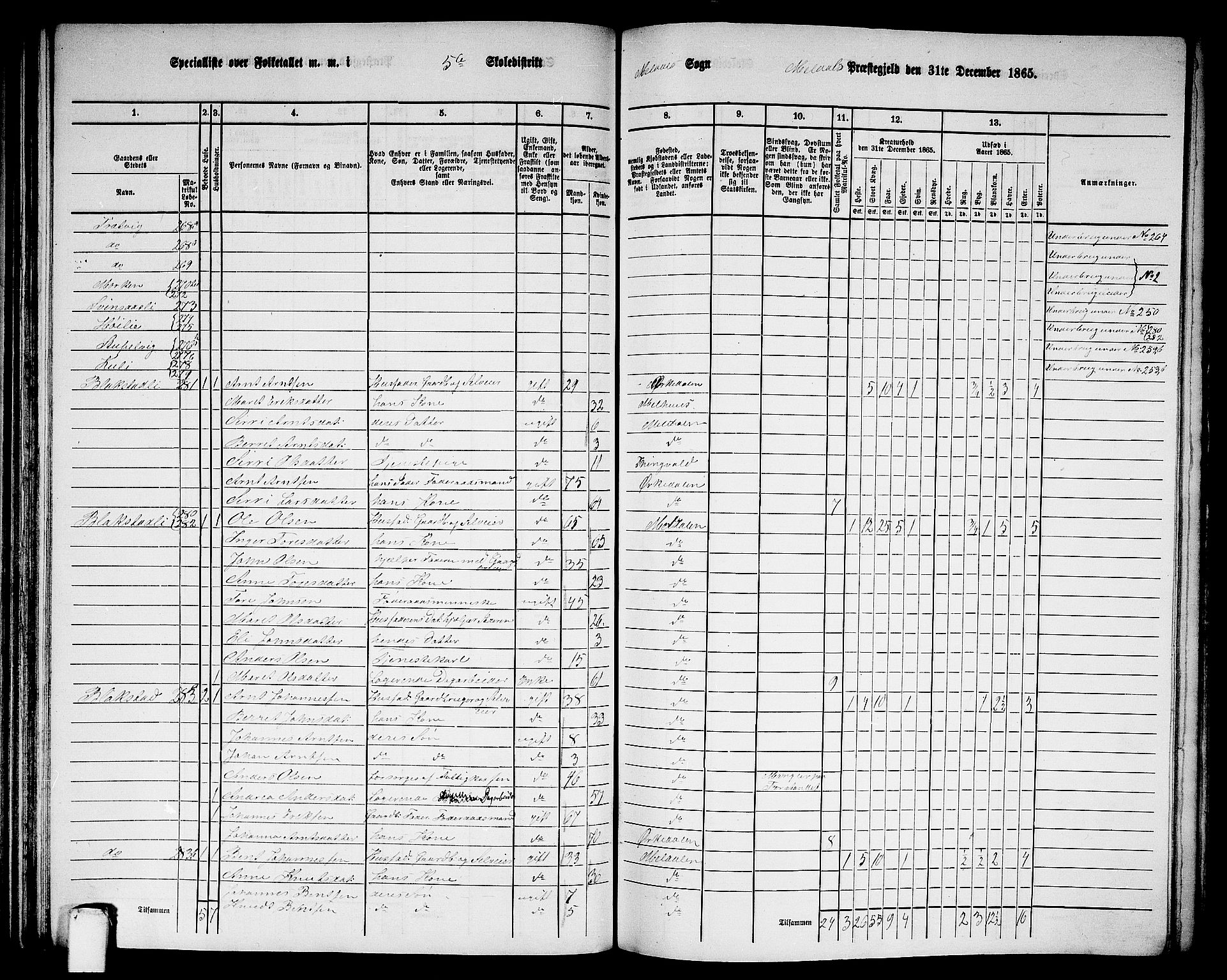 RA, 1865 census for Meldal, 1865, p. 121