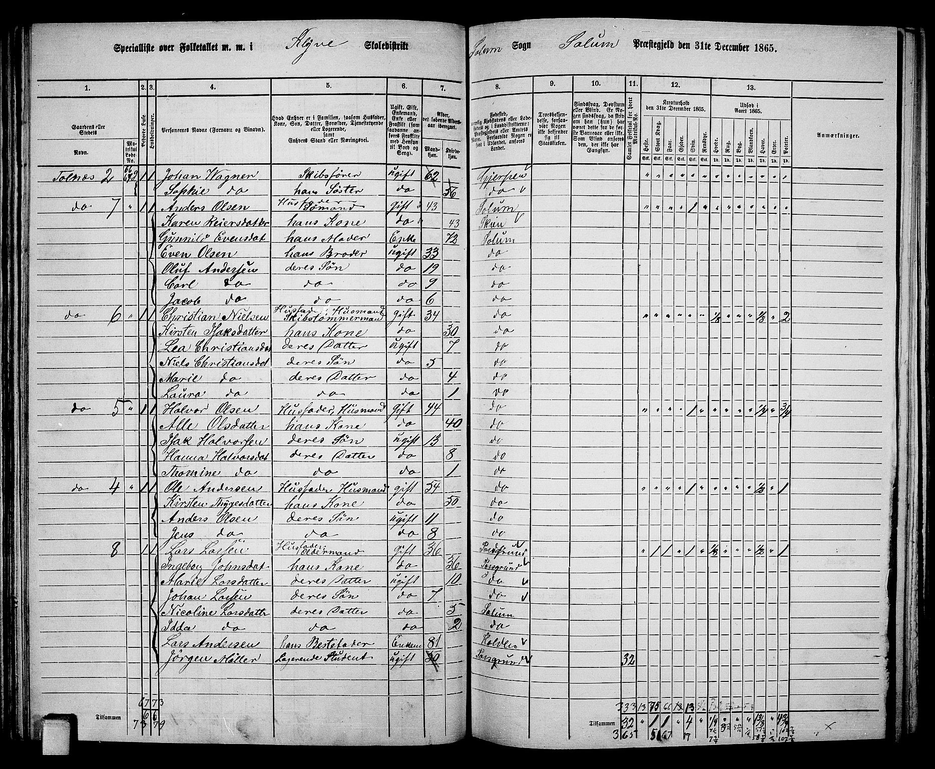 RA, 1865 census for Solum, 1865, p. 81