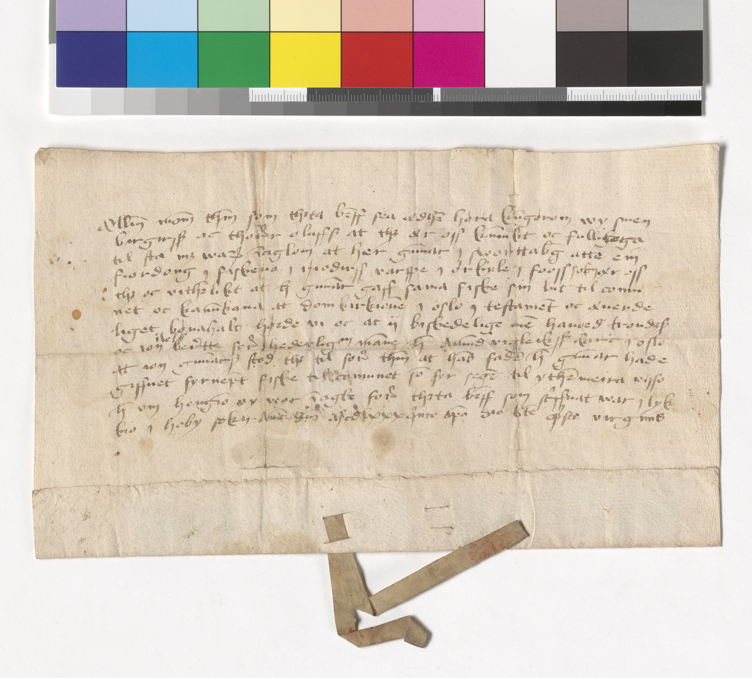Riksarkivets diplomsamling, AV/RA-EA-5965/F05/L0231: NRA AM fasc. 95 nr. 10-16, 1484-1487, p. 5