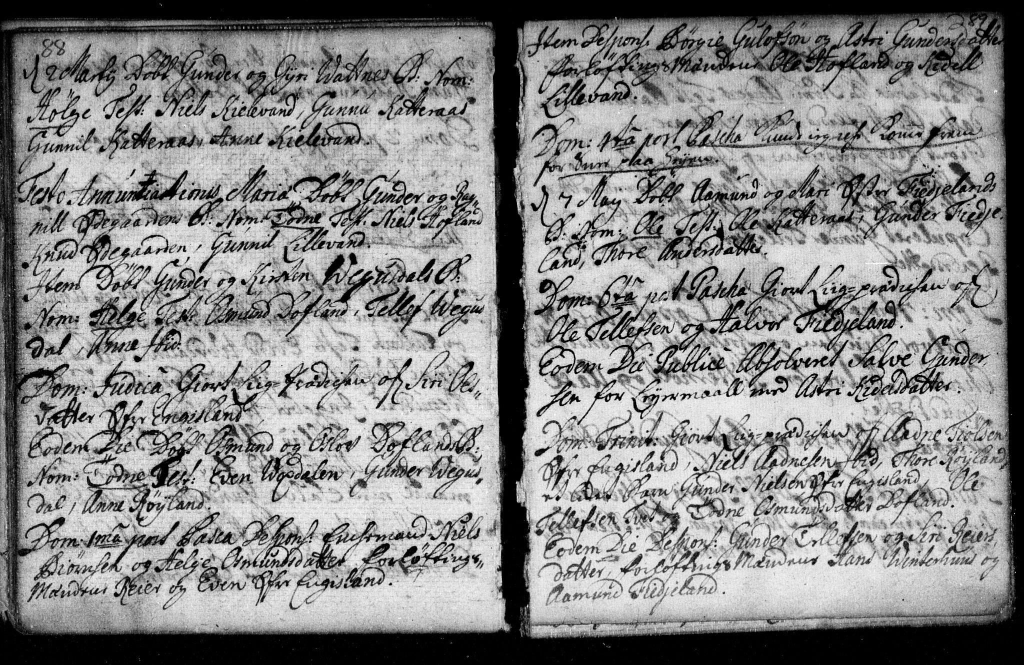 Herefoss sokneprestkontor, AV/SAK-1111-0019/F/Fa/Fab/L0001: Parish register (official) no. A 1, 1704-1779, p. 88-89