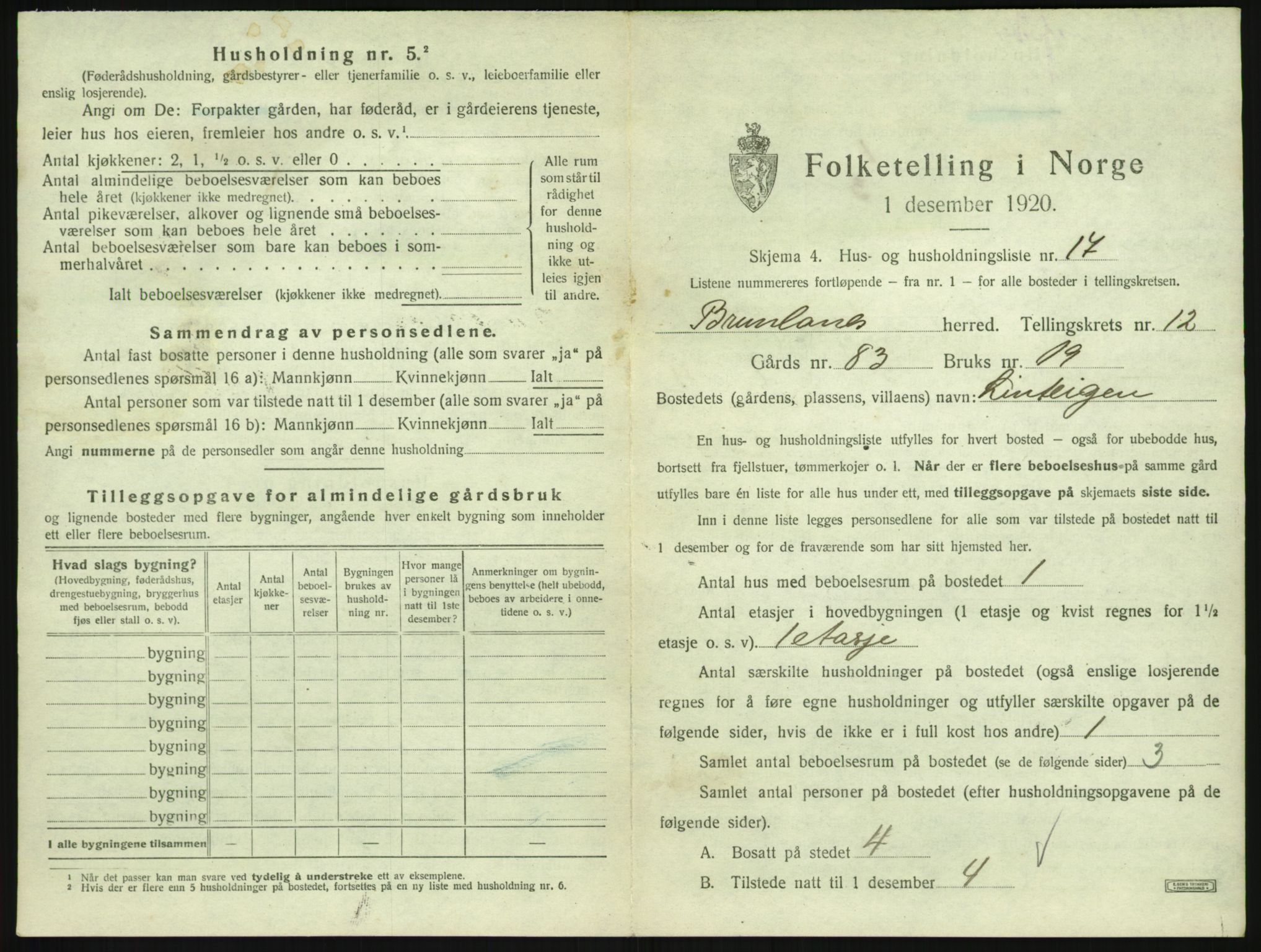 SAKO, 1920 census for Brunlanes, 1920, p. 1729