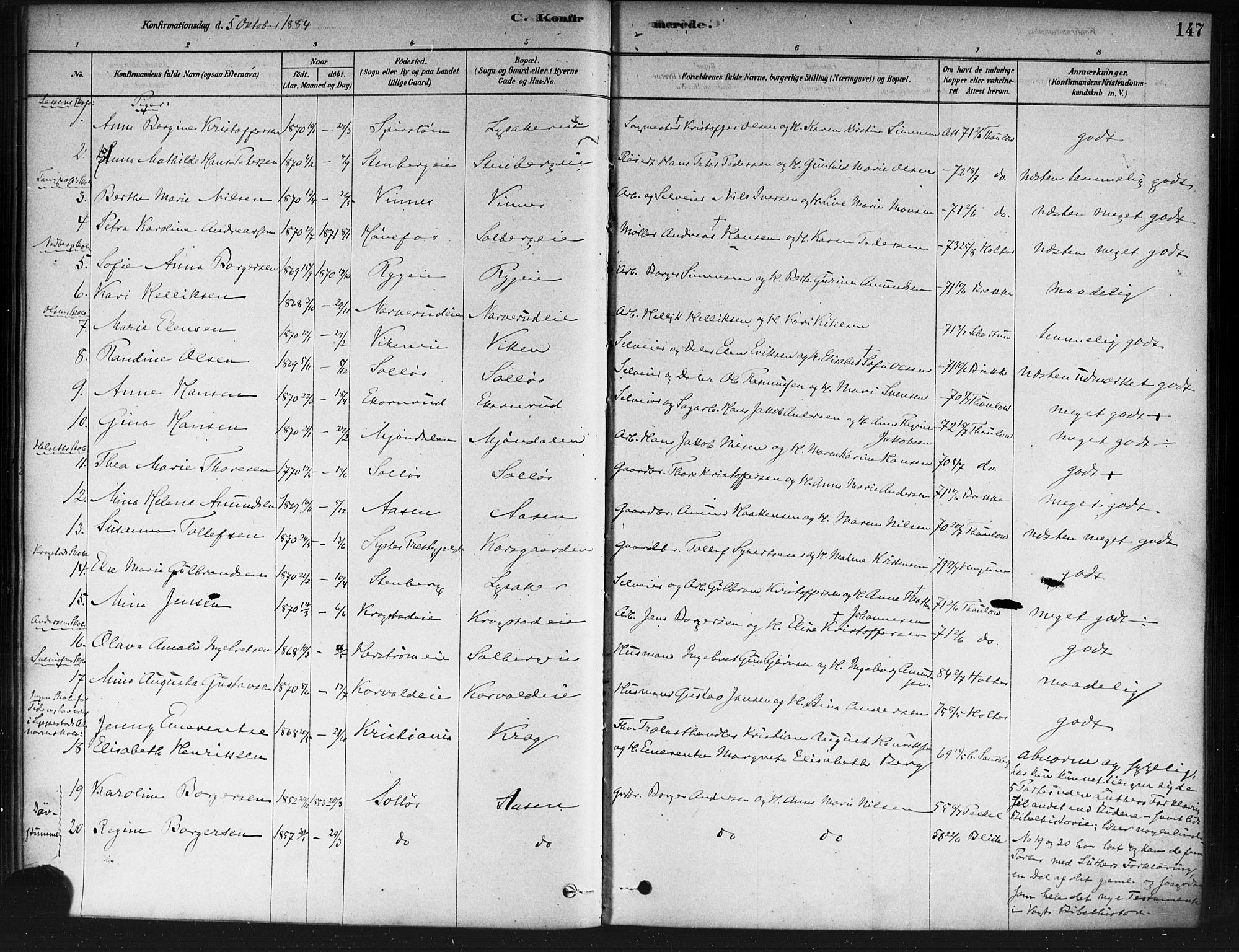 Nedre Eiker kirkebøker, AV/SAKO-A-612/F/Fa/L0002: Parish register (official) no. 2, 1878-1885, p. 147