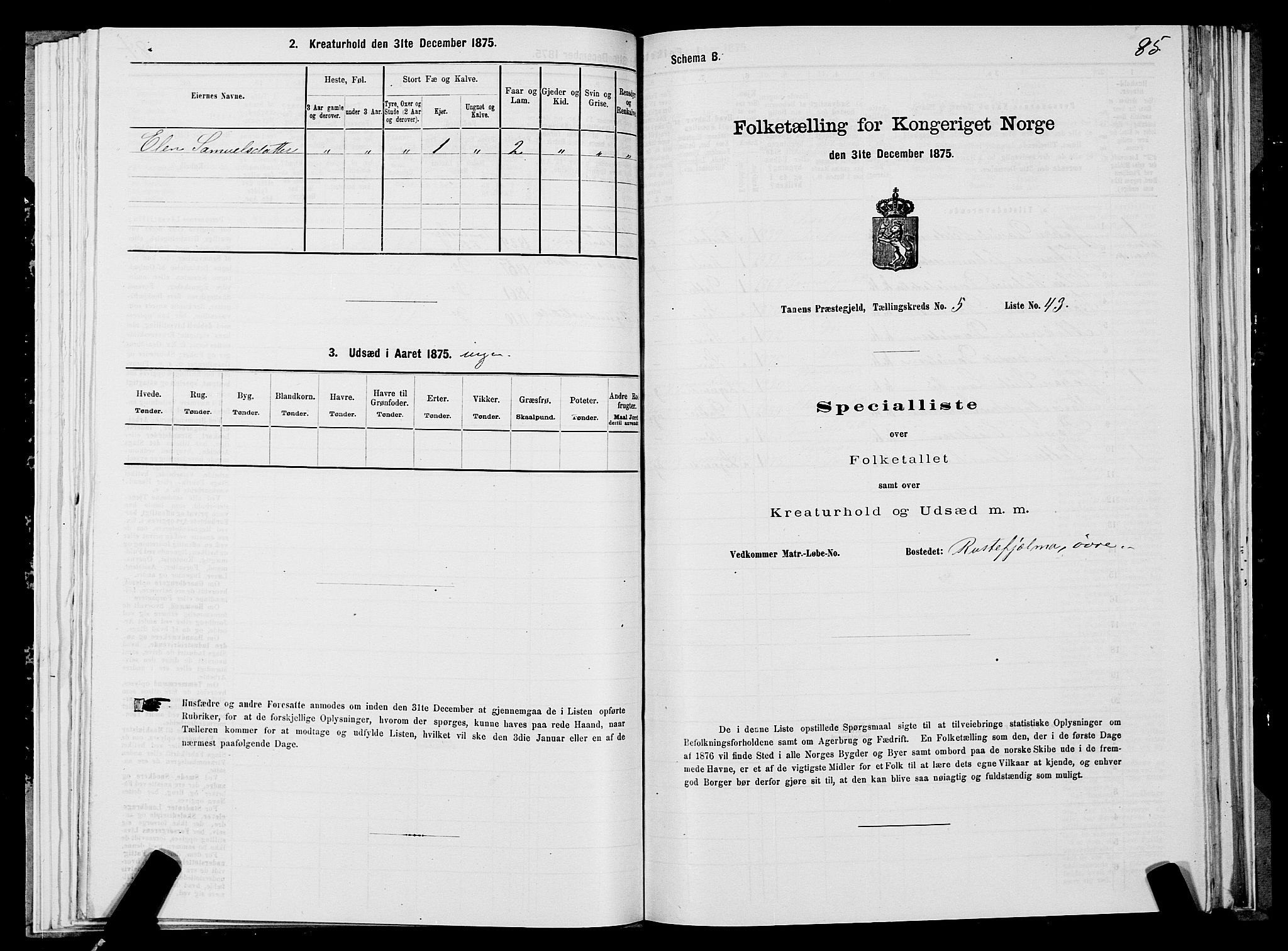 SATØ, 1875 census for 2025P Tana, 1875, p. 2085