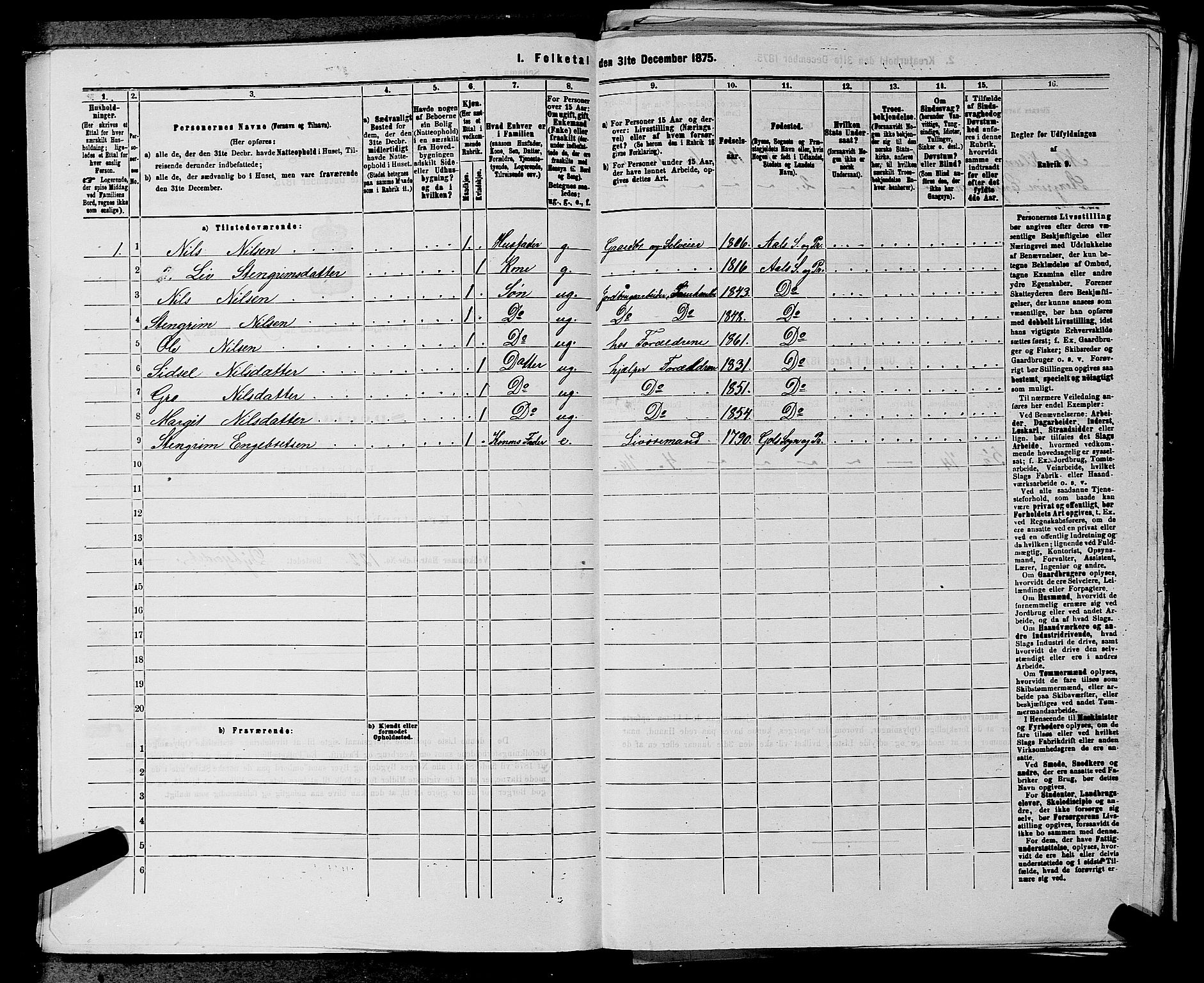 SAKO, 1875 census for 0619P Ål, 1875, p. 1120