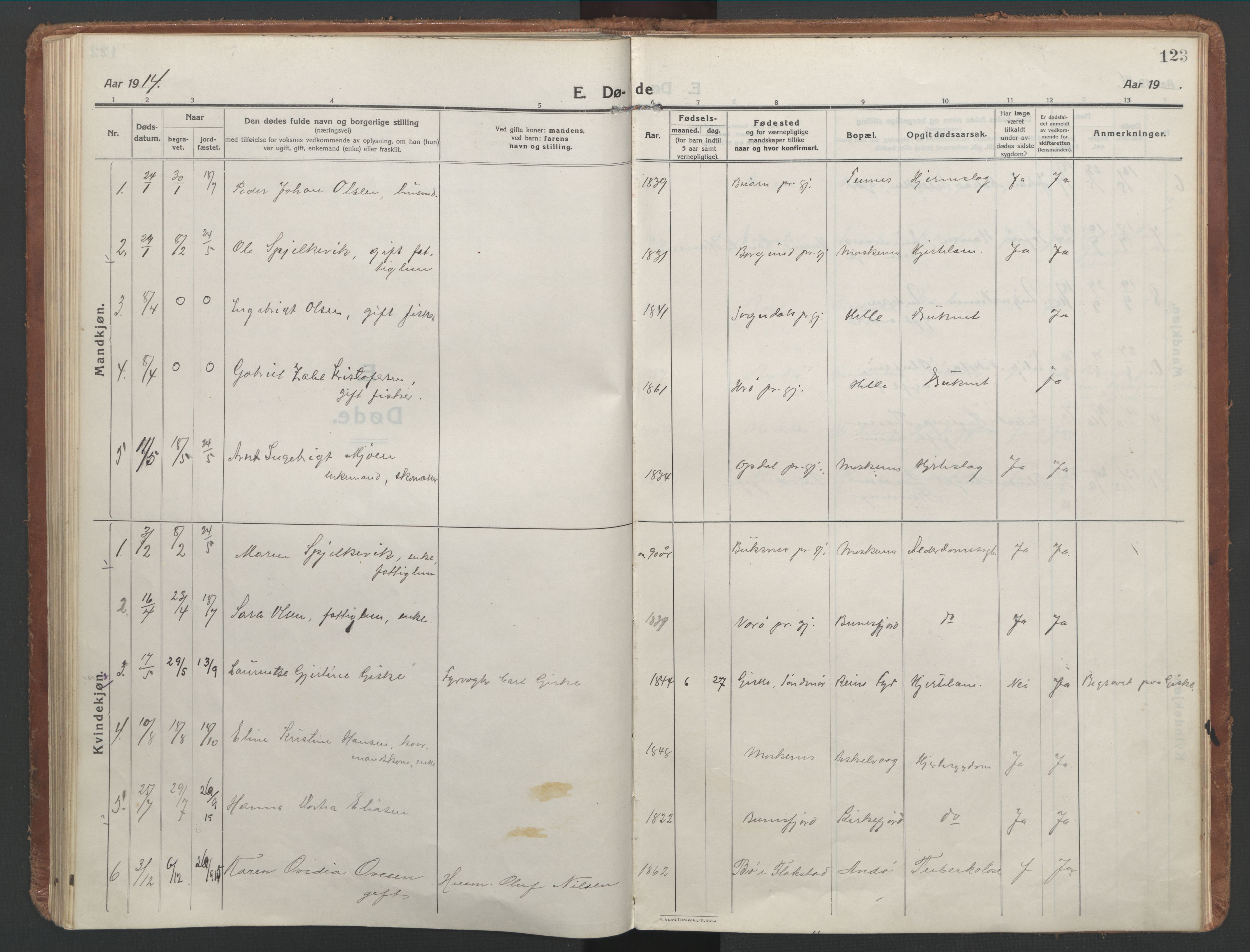 Ministerialprotokoller, klokkerbøker og fødselsregistre - Nordland, SAT/A-1459/886/L1222: Parish register (official) no. 886A04, 1914-1926, p. 123