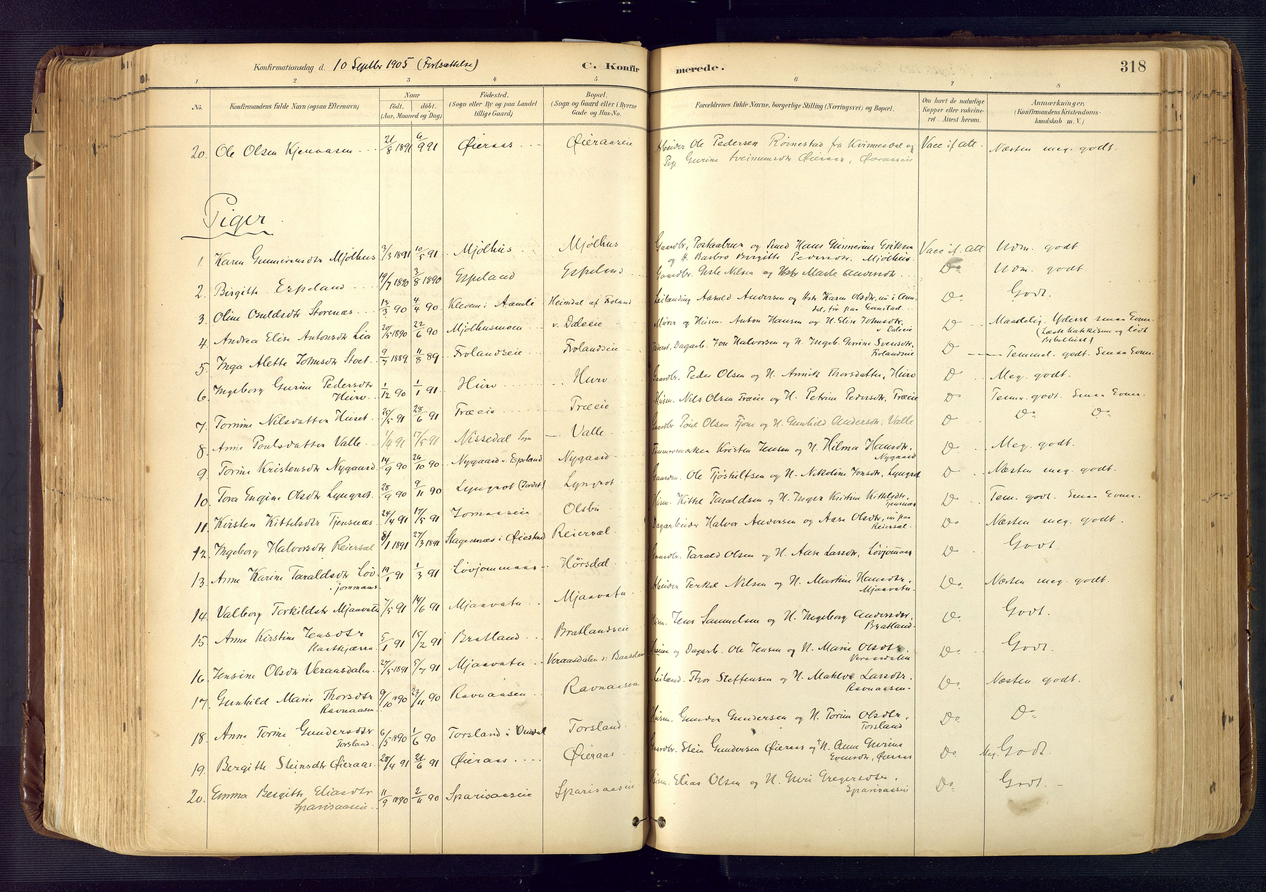 Froland sokneprestkontor, SAK/1111-0013/F/Fa/L0005: Parish register (official) no. A 5, 1882-1921, p. 318
