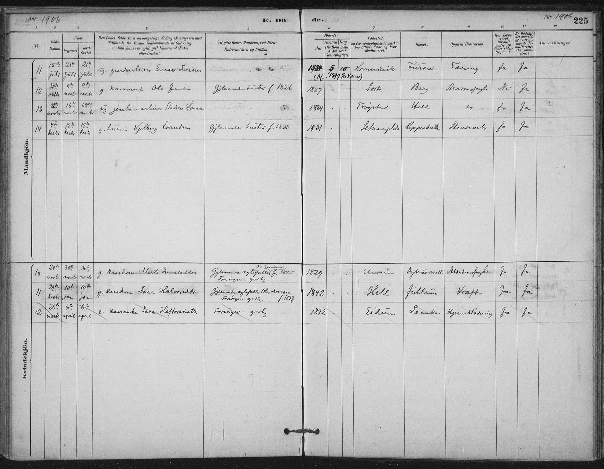 Ministerialprotokoller, klokkerbøker og fødselsregistre - Nord-Trøndelag, SAT/A-1458/710/L0095: Parish register (official) no. 710A01, 1880-1914, p. 225