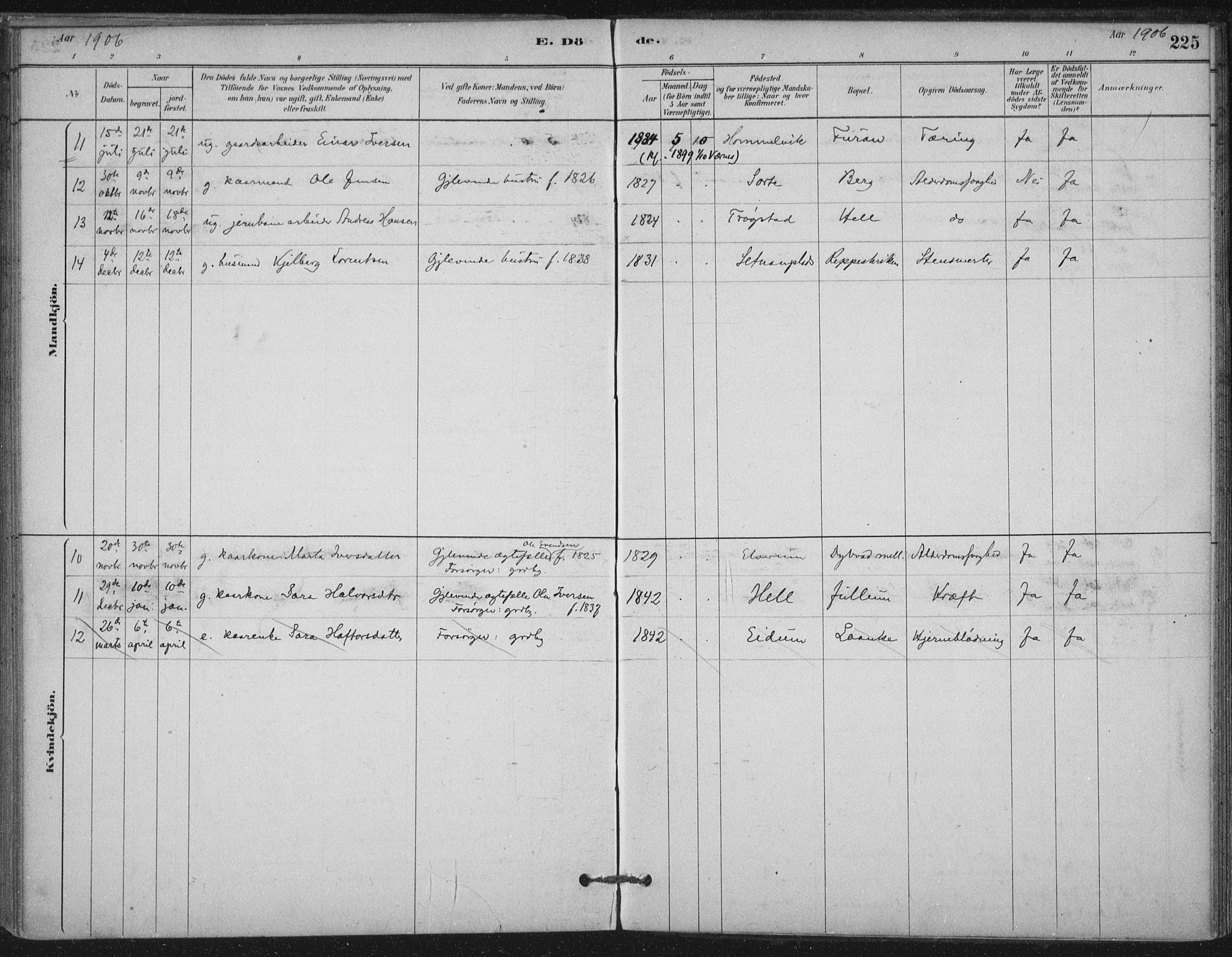 Ministerialprotokoller, klokkerbøker og fødselsregistre - Nord-Trøndelag, AV/SAT-A-1458/710/L0095: Parish register (official) no. 710A01, 1880-1914, p. 225