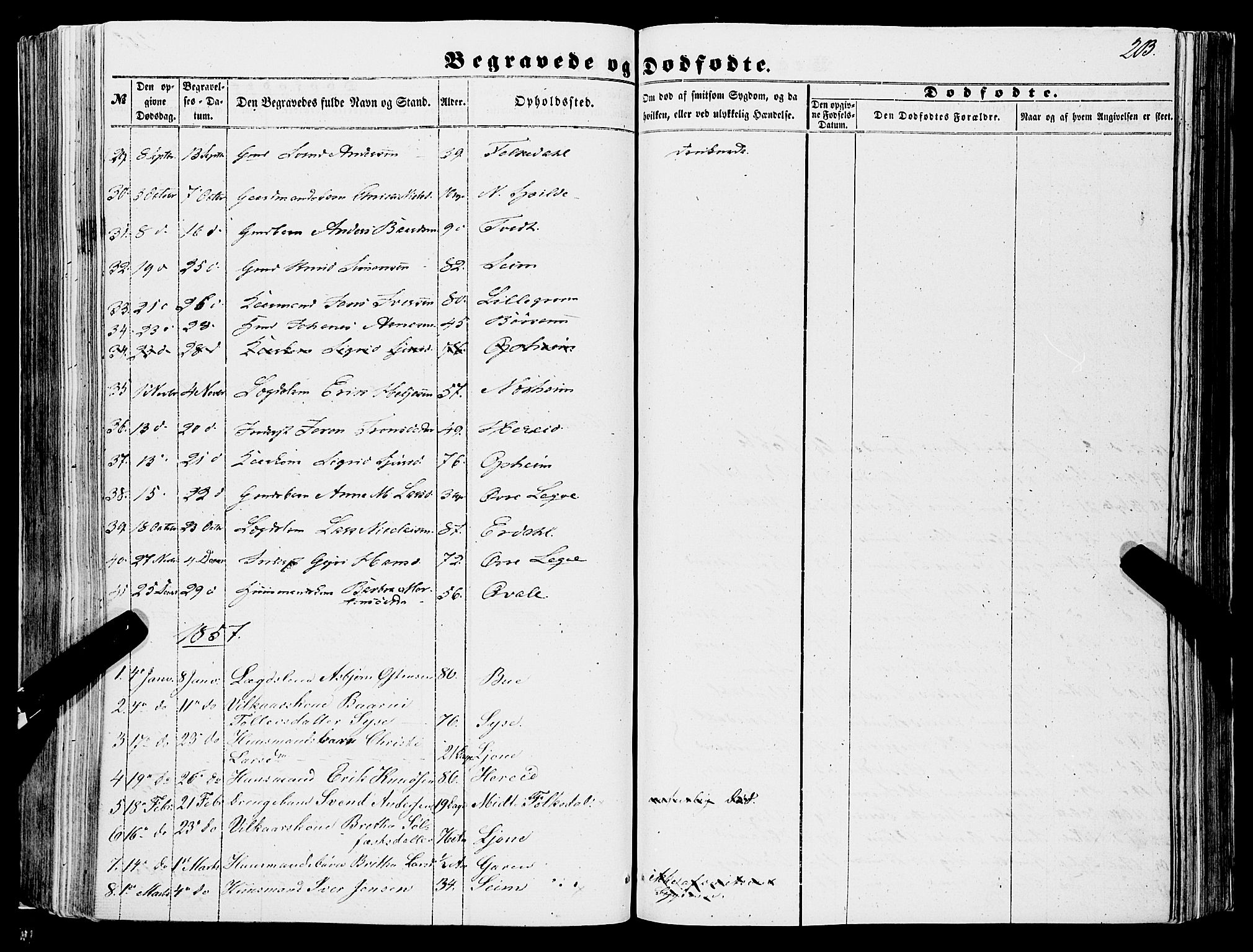 Ulvik sokneprestembete, SAB/A-78801/H/Haa: Parish register (official) no. A 13, 1853-1863, p. 203